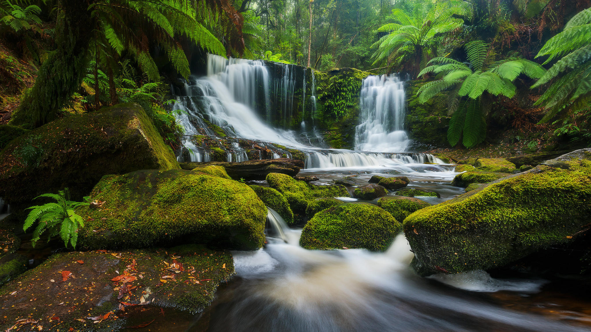 Wallpapers Horseshoe Falls Tasmania forest on the desktop