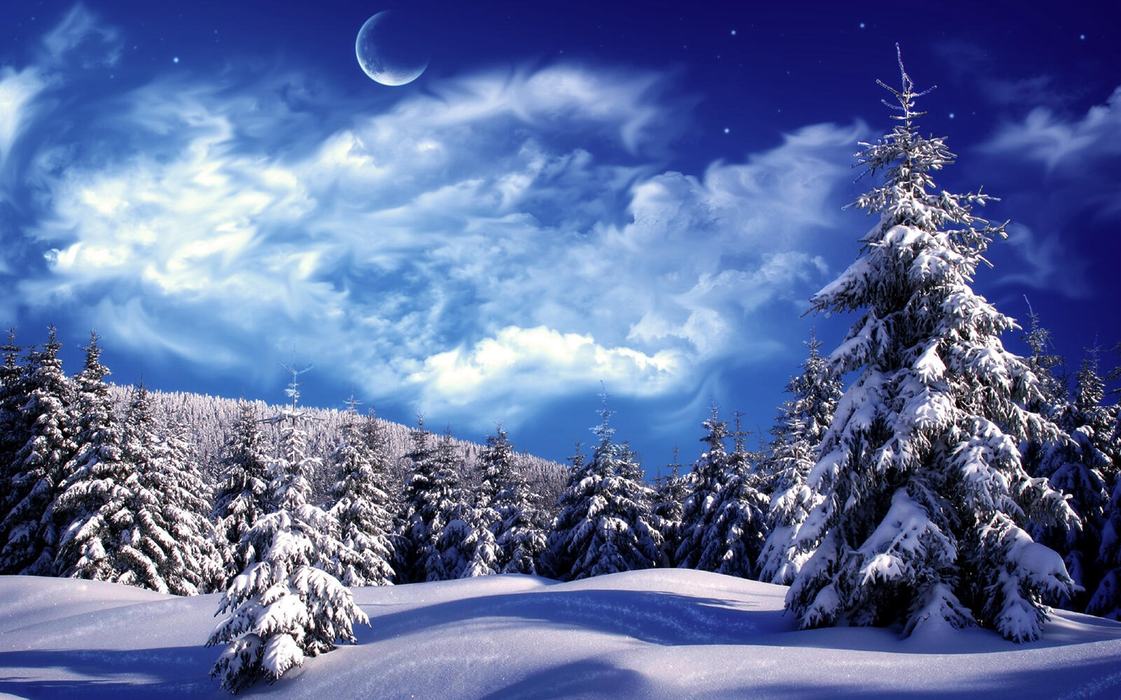 Wallpapers winter forest trees snow on the desktop