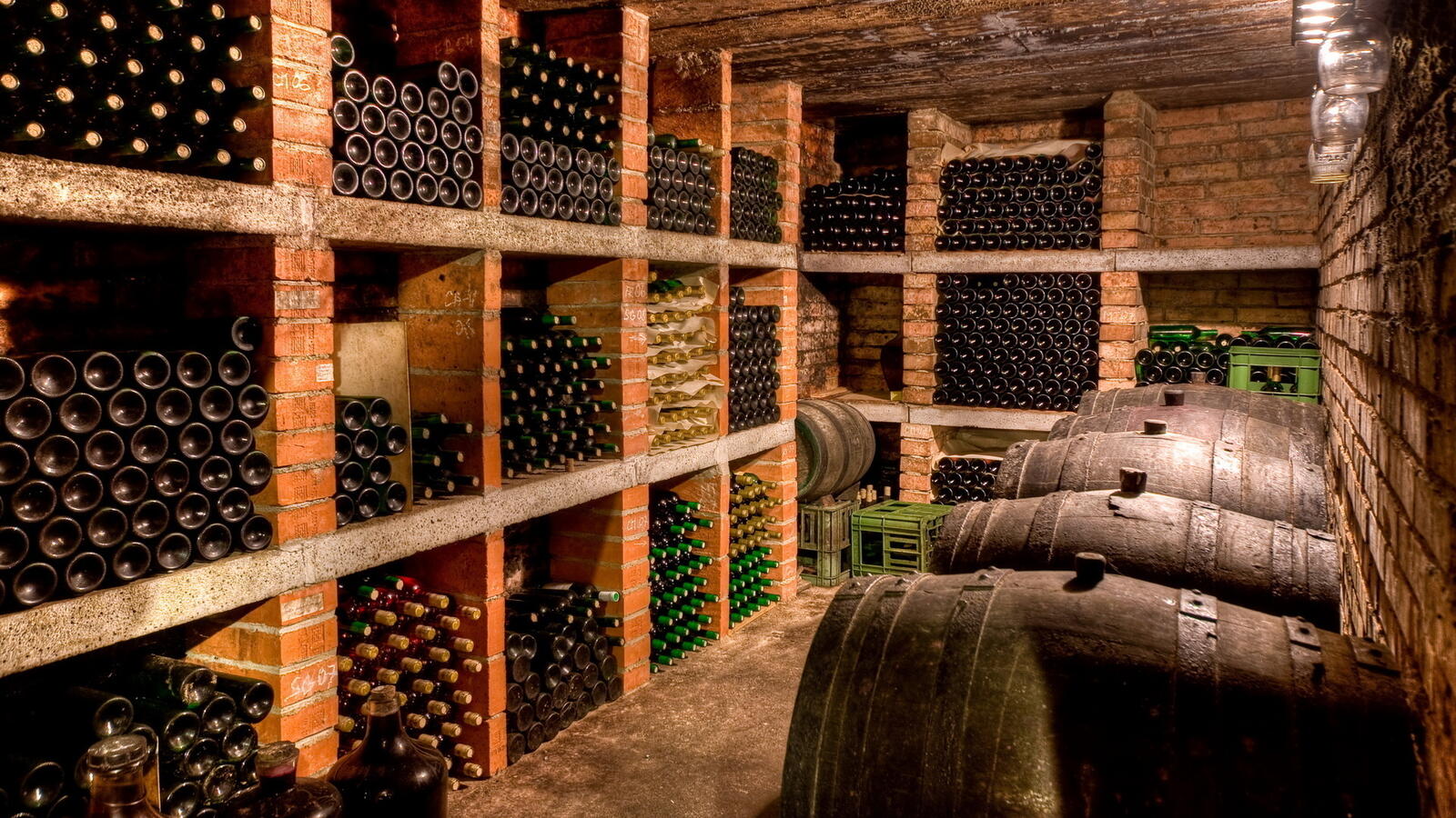 Wallpapers cellar barrels wine on the desktop