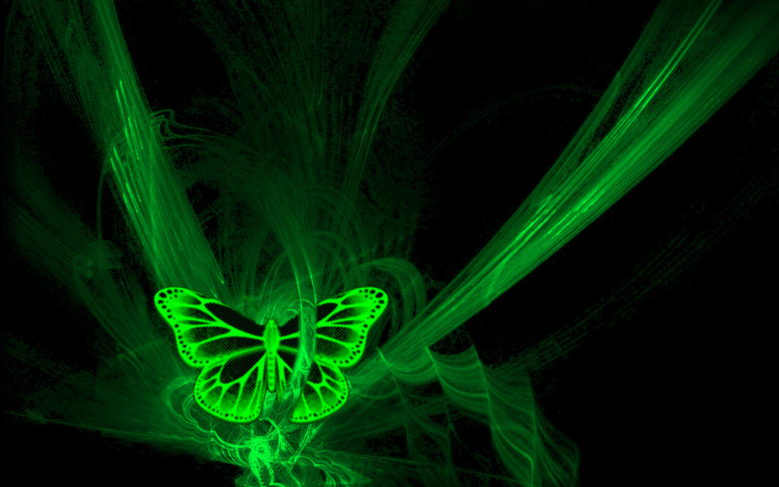 Wallpapers background black butterfly on the desktop