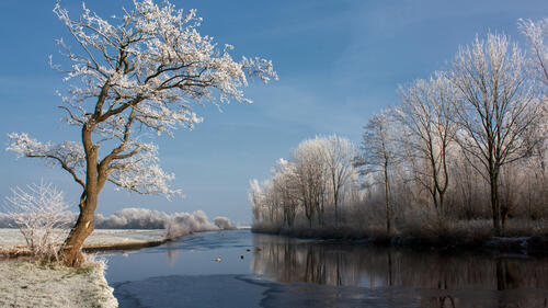 河边的霜冻河岸