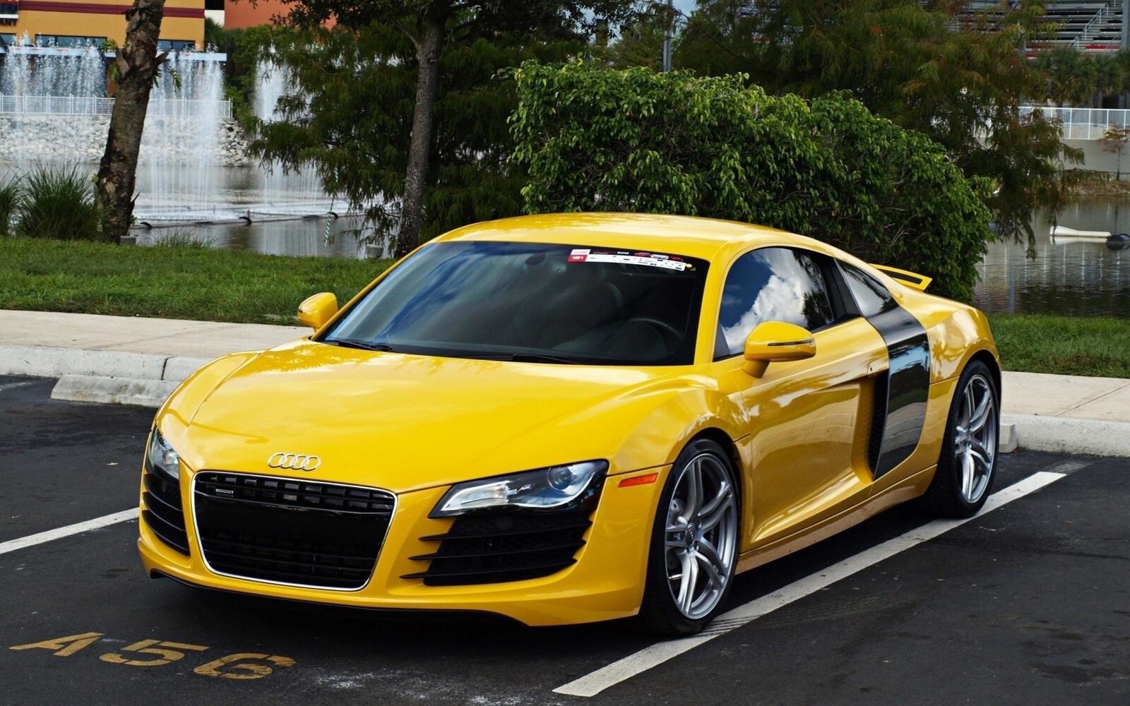 Wallpapers audi bright yellow road on the desktop