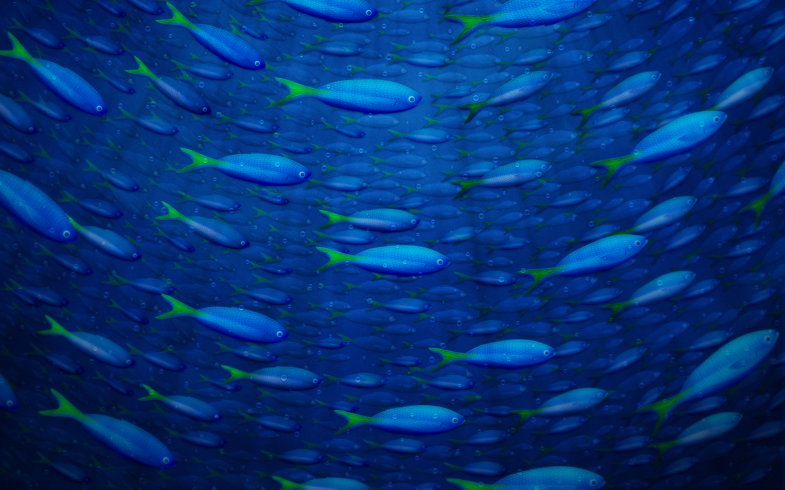 Wallpapers fish blue water on the desktop
