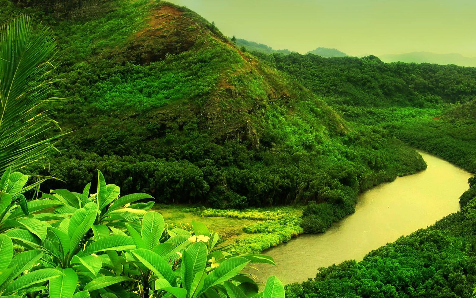Бесплатное фото Красивые фотографии на тему вода, река, лес