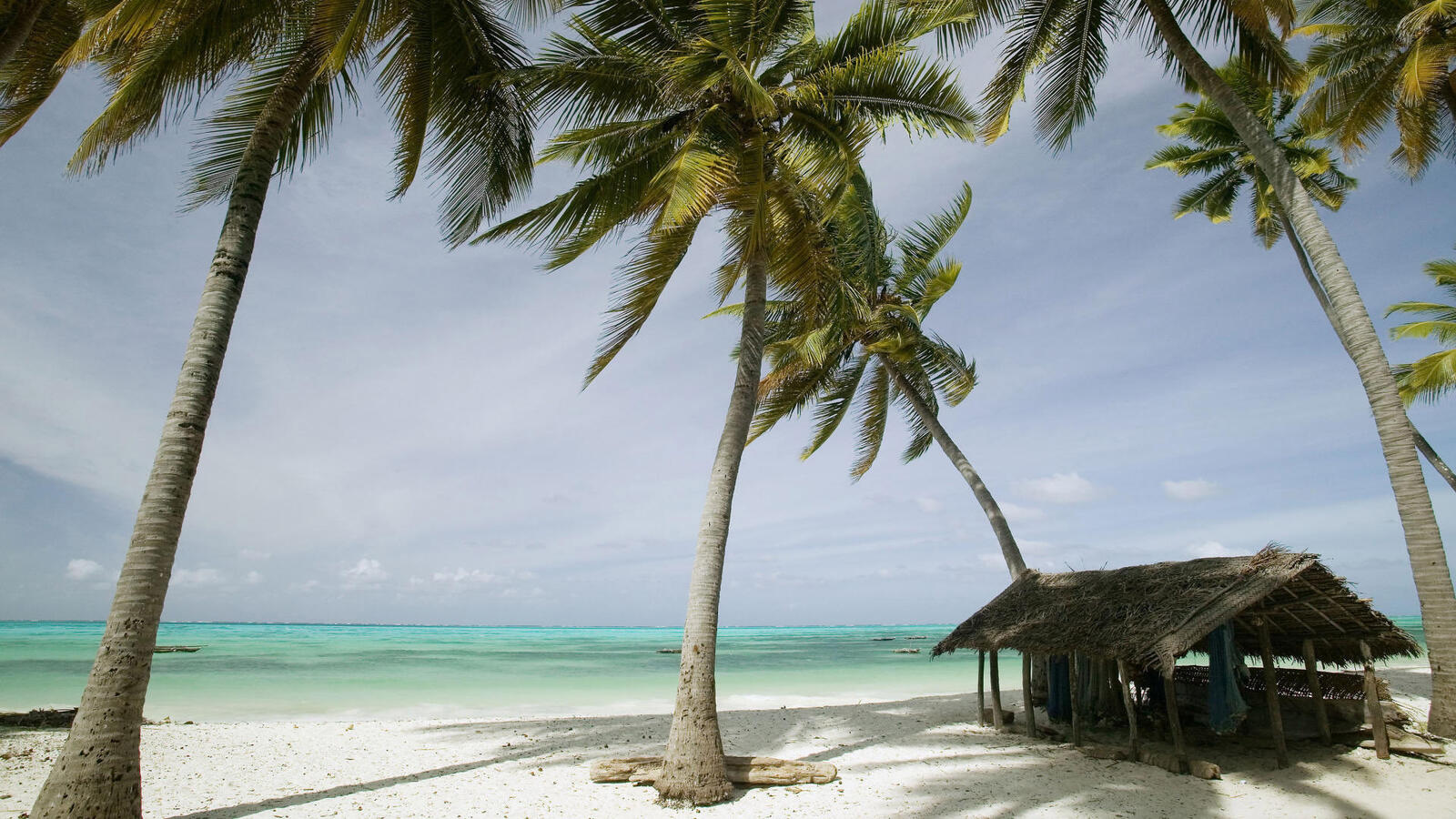Бесплатное фото Остров с пальмами