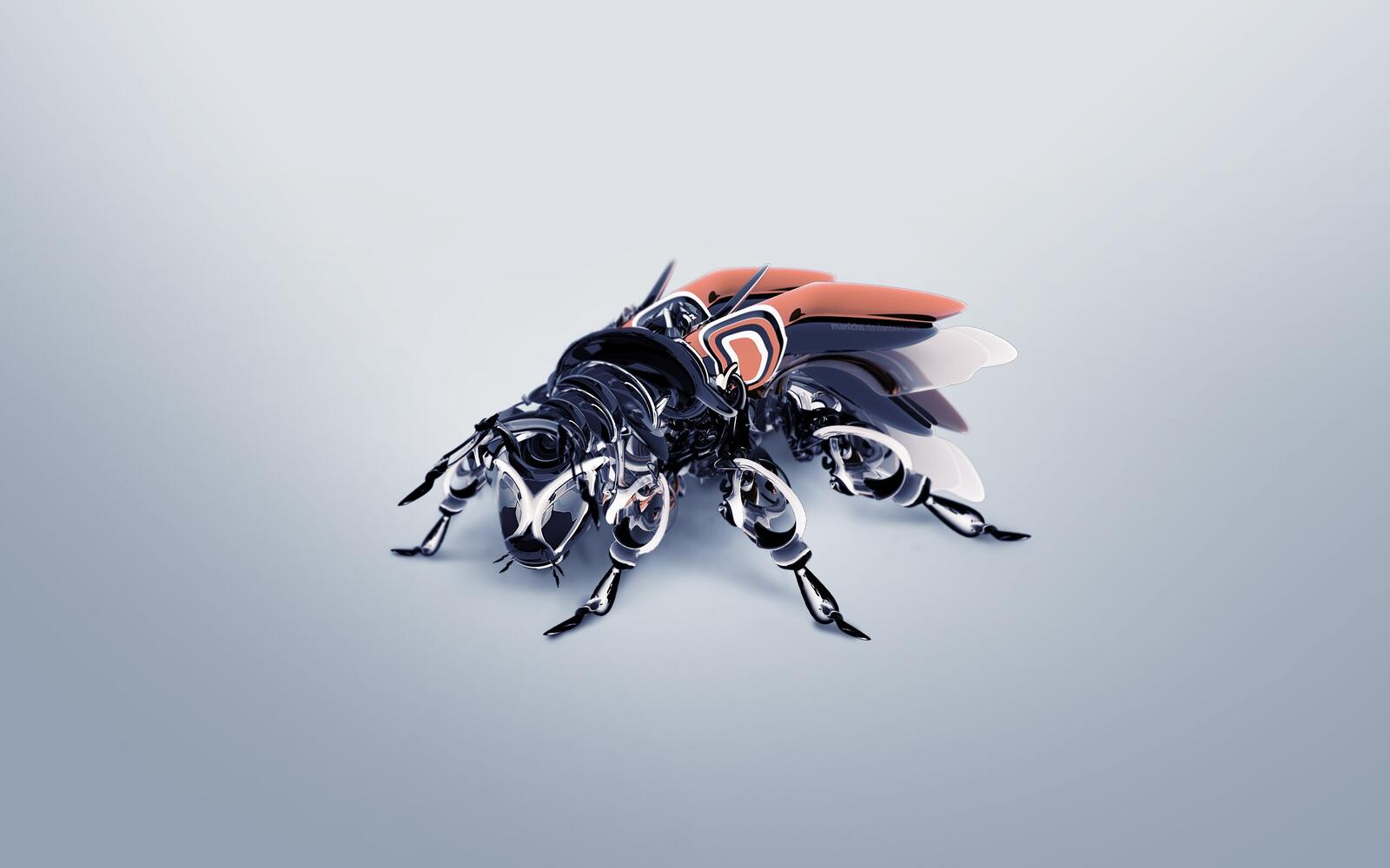 Wallpapers fly robot wings on the desktop