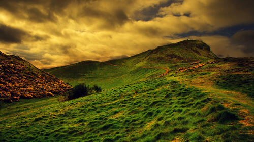 A hill of green grass