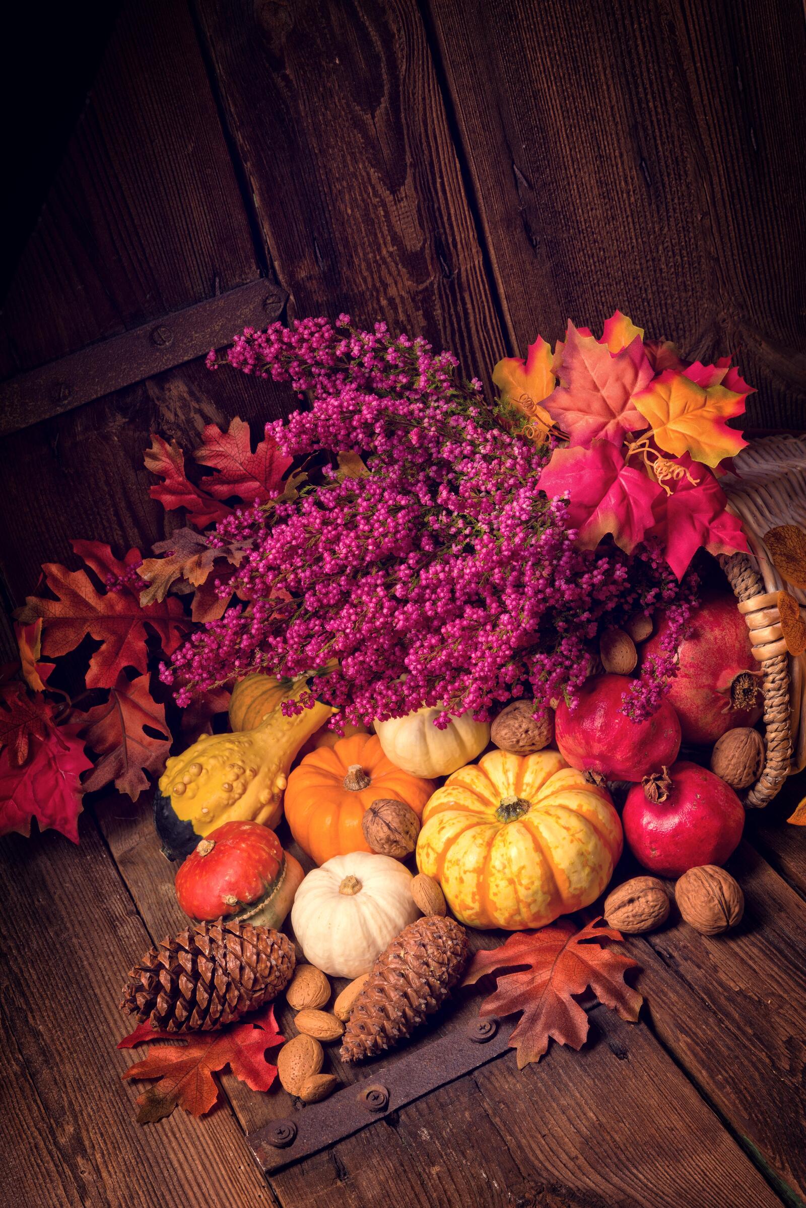 桌面上的壁纸螺母 水果和蔬菜的秋季成分 笼