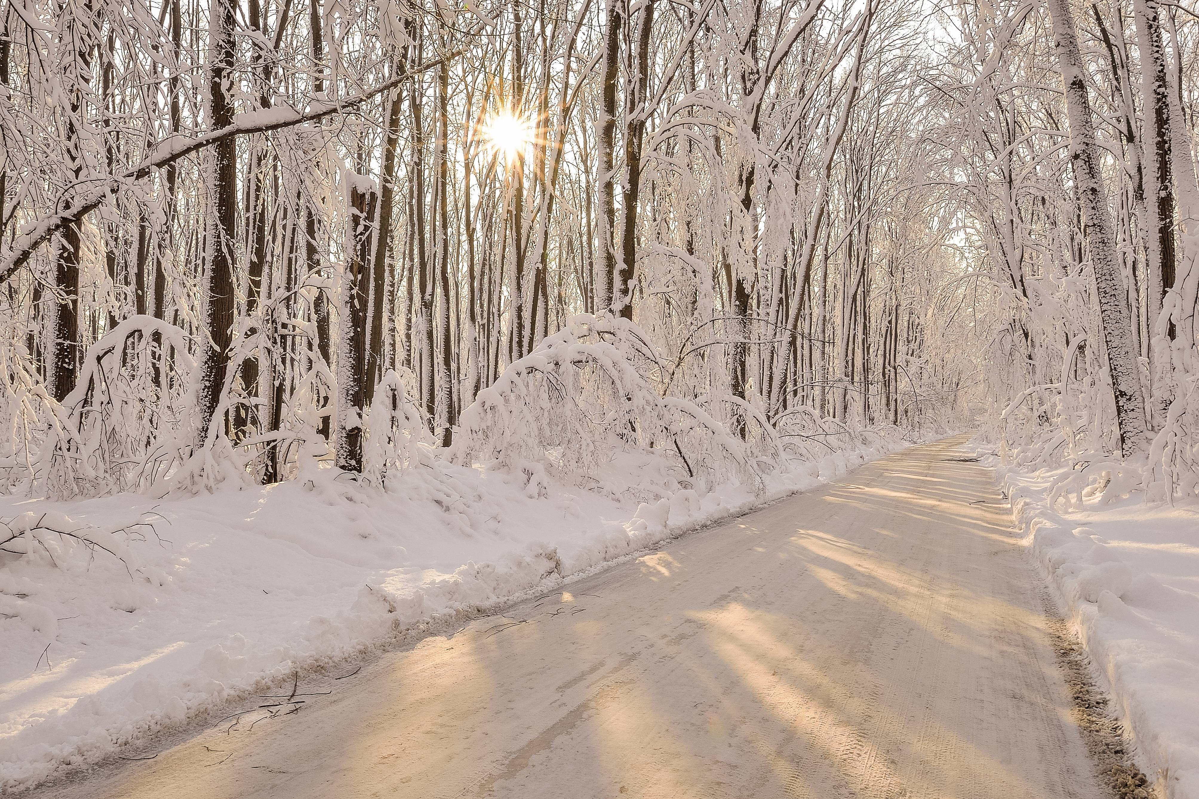 Дорога без снега. Зимние дороги. Зимняя дорога. Заснеженная дорога. Зимняя дорога в лесу.