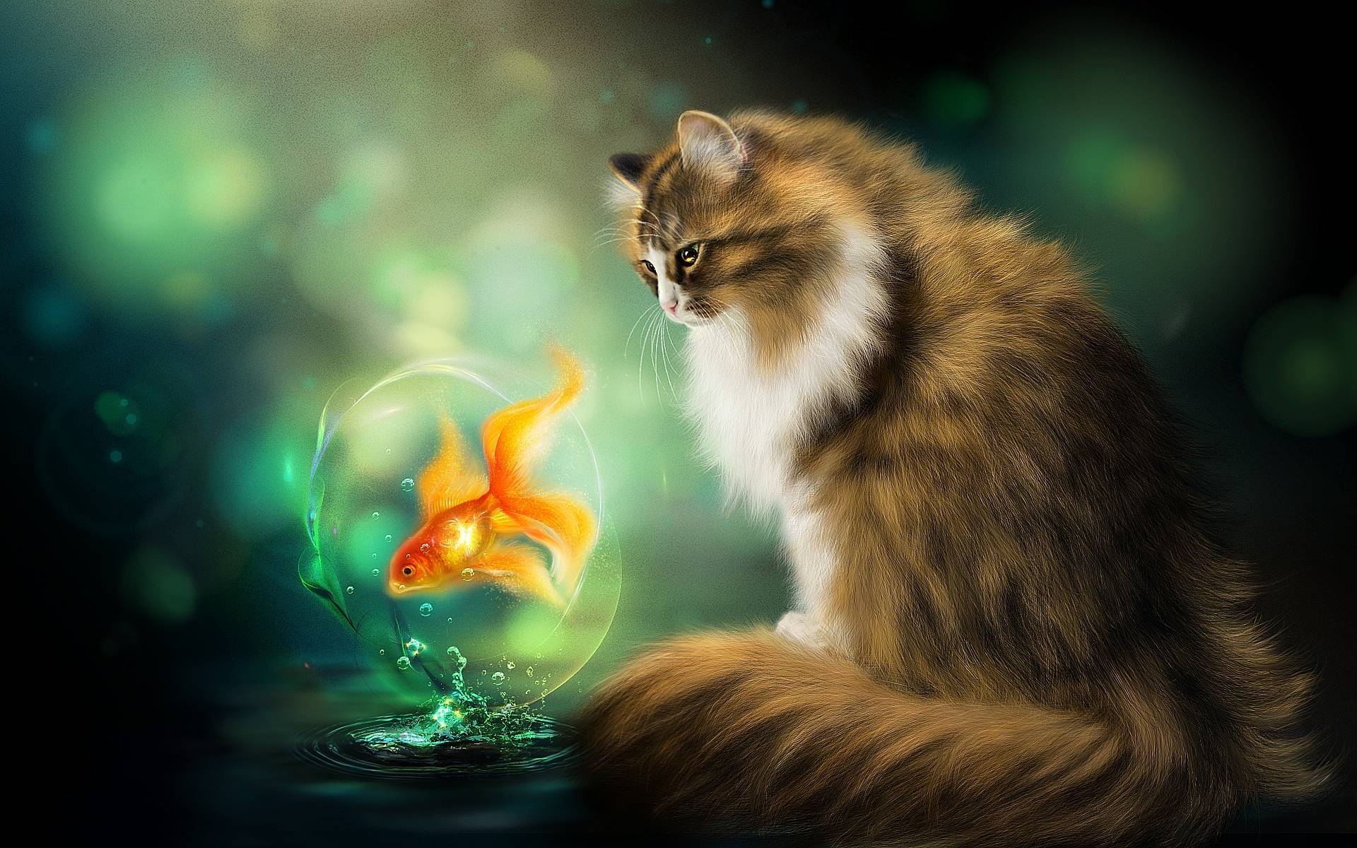 Фото бесплатно кошка, рыбка, art