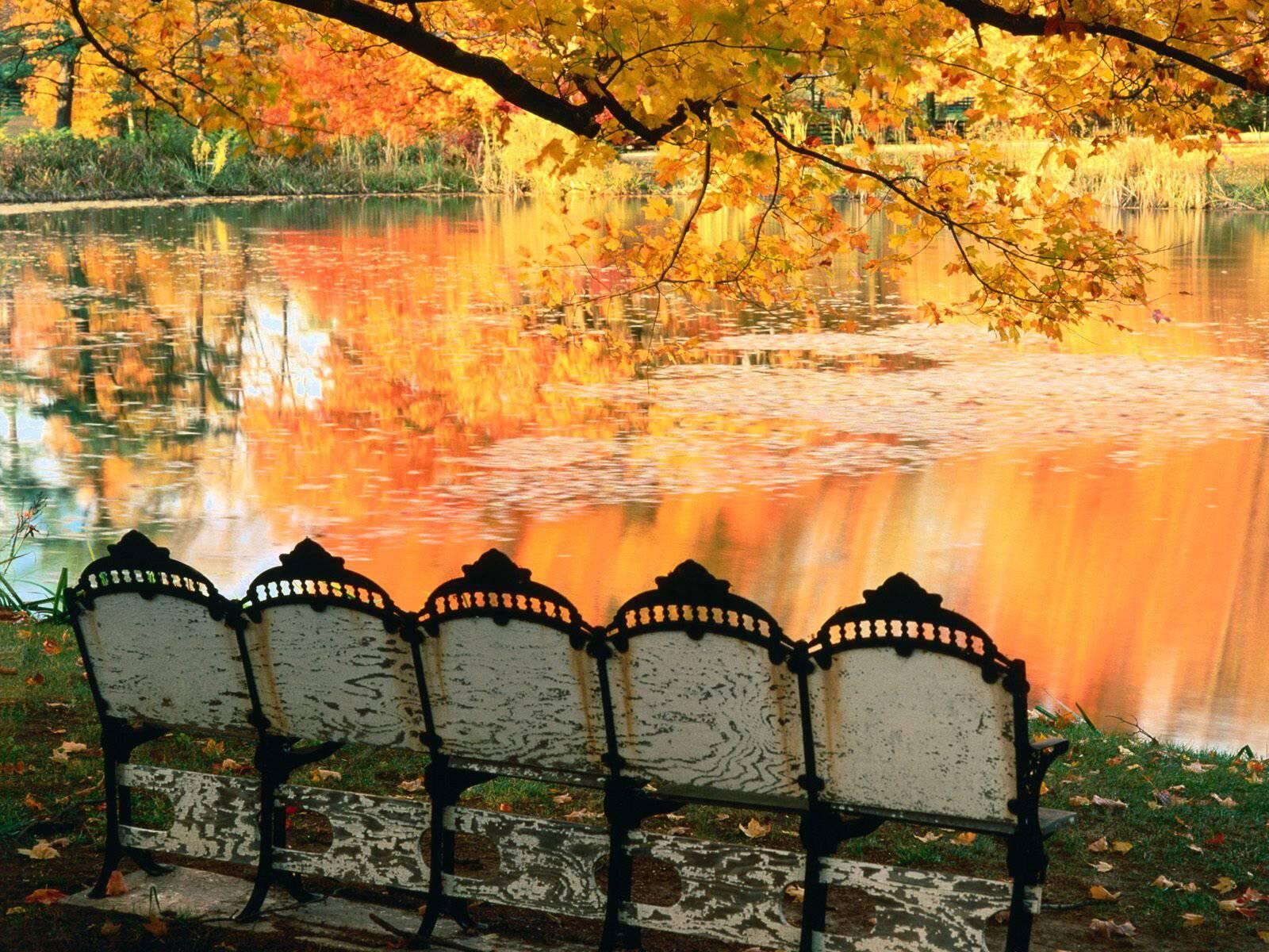 桌面上的壁纸秋季公园 凳子 湖
