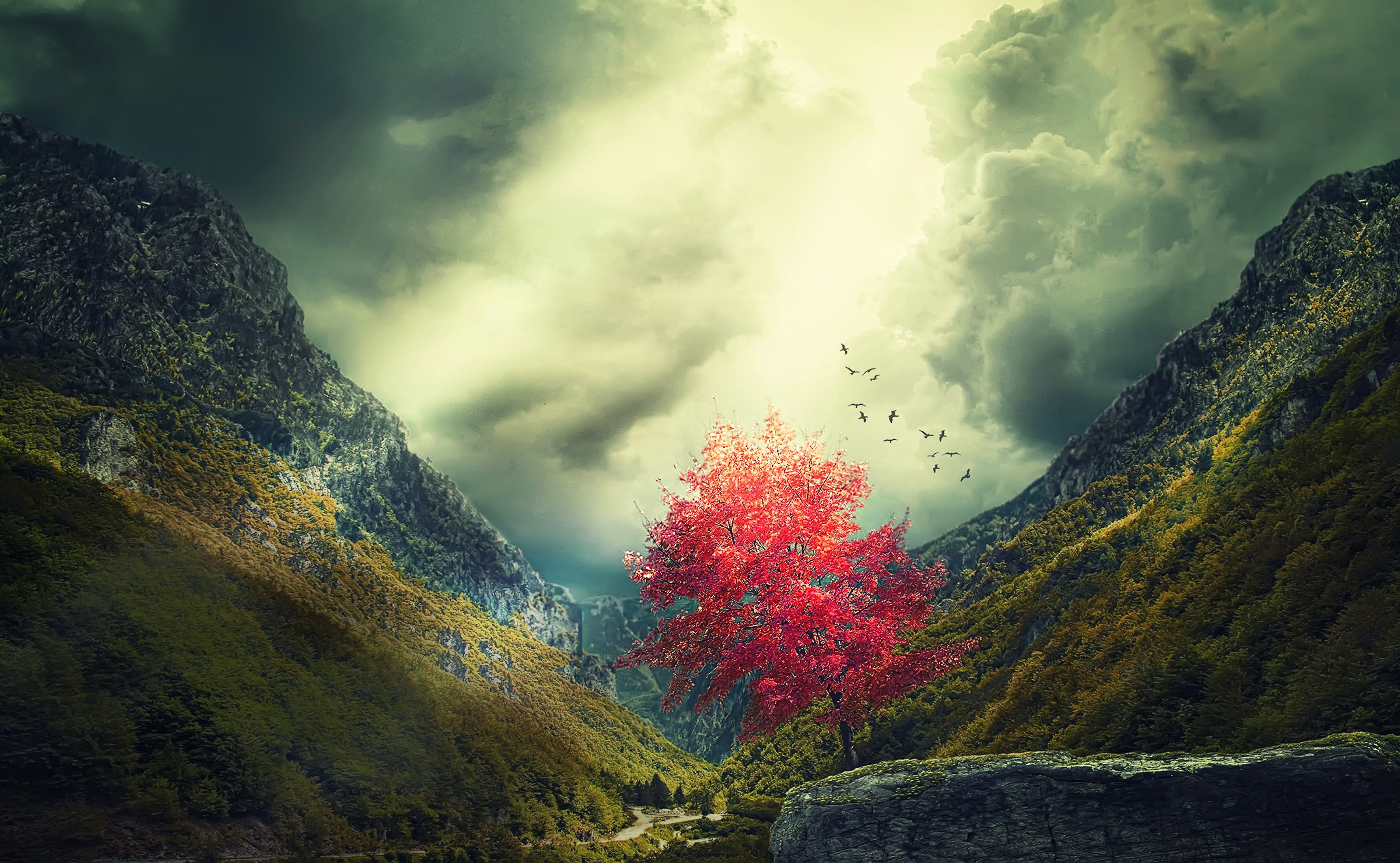 Фото бесплатно горы, закат, осень