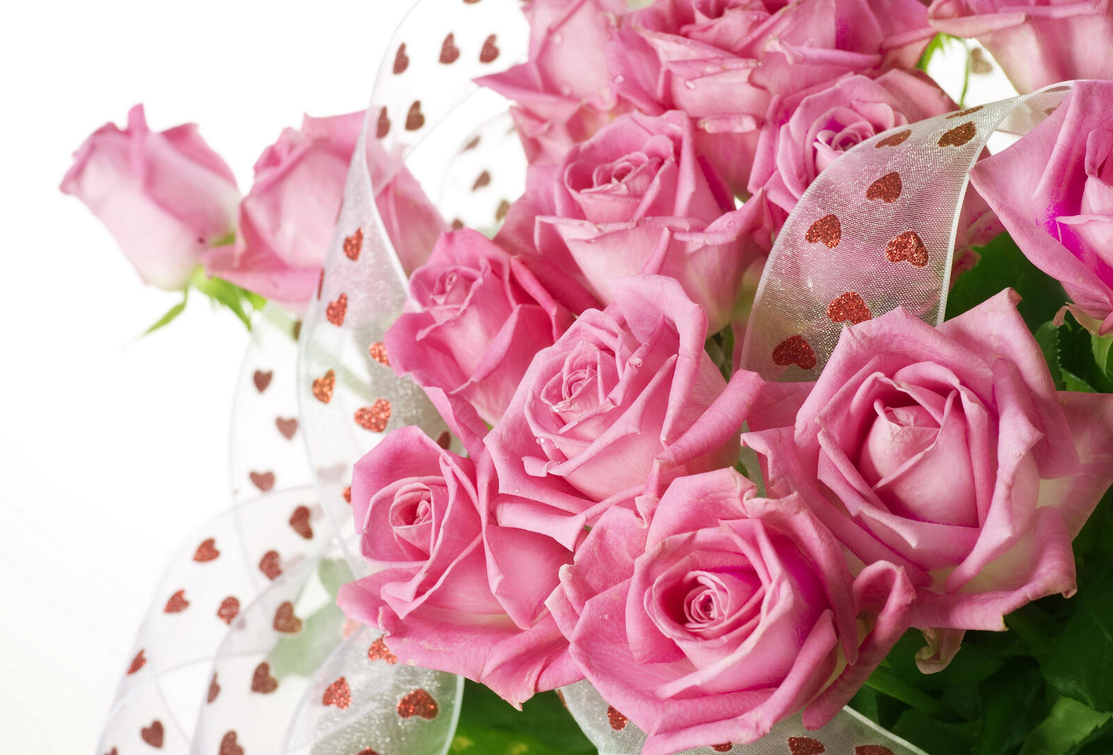 Wallpapers roses pink bouquet on the desktop