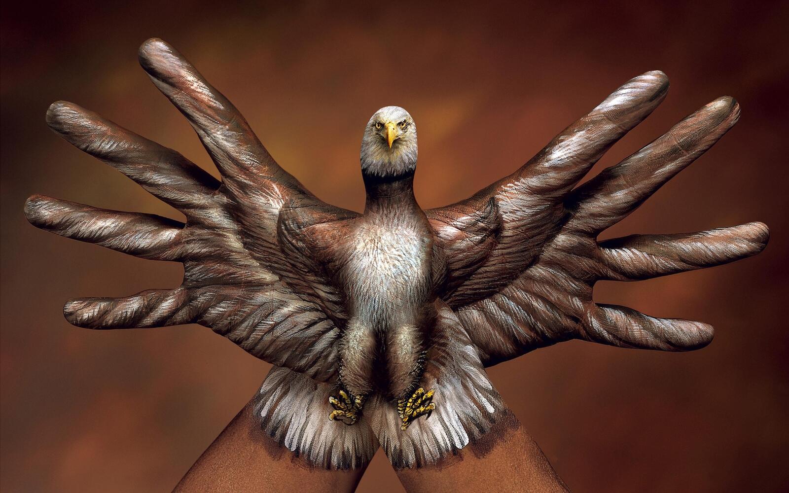 Wallpapers bird italian eagle on the desktop