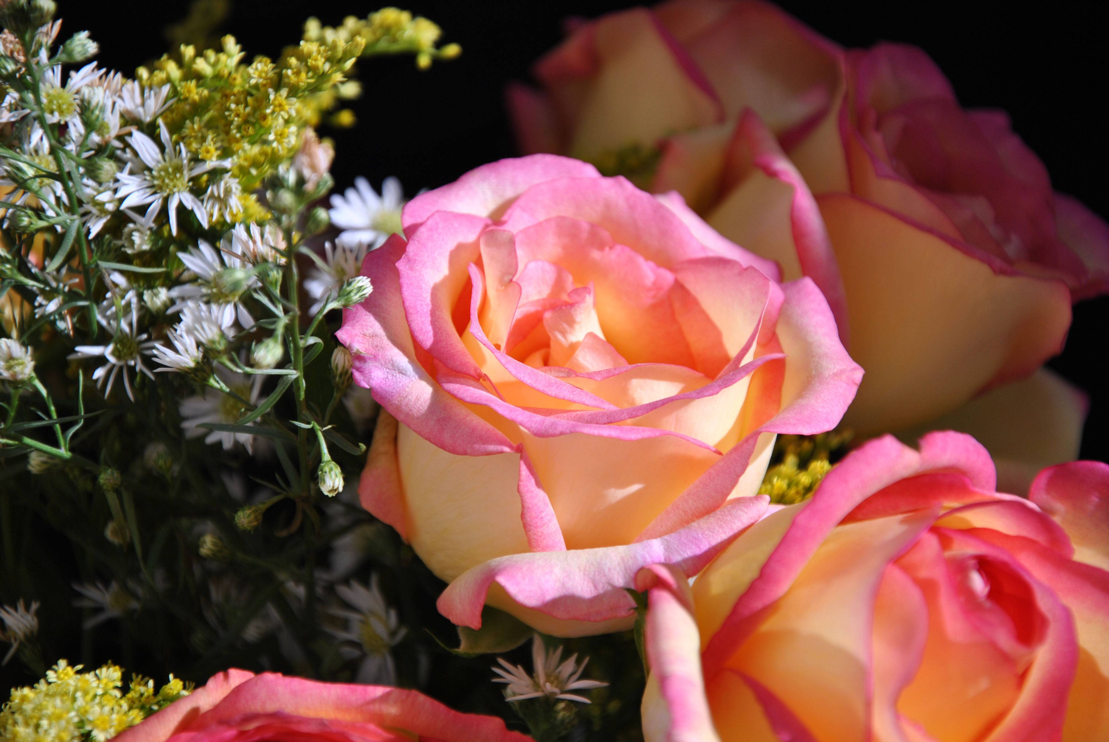 Обои букет розовых роз цветы розовые бутоны на рабочий стол
