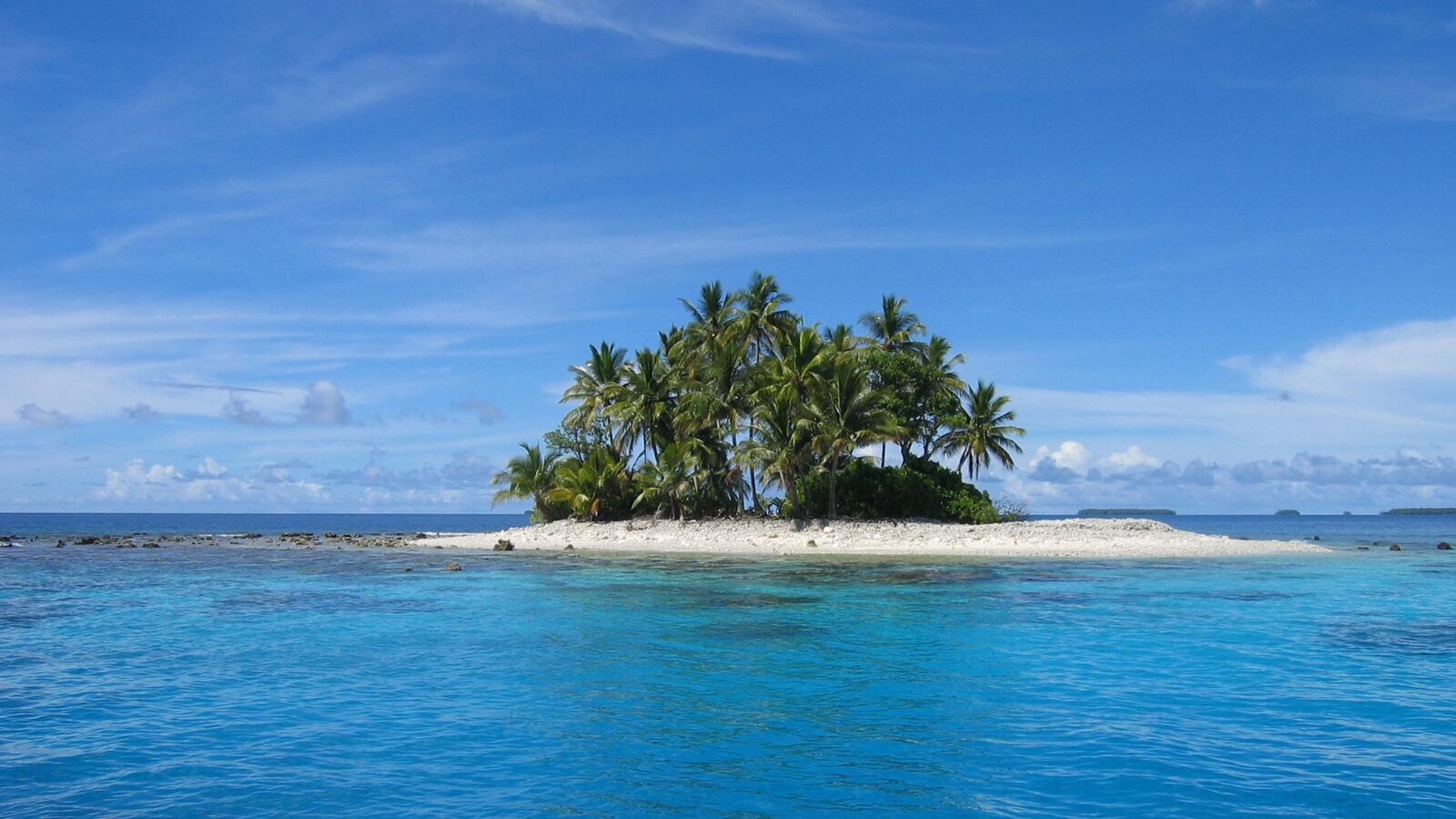 Обои пальмы одинокий остров море на рабочий стол
