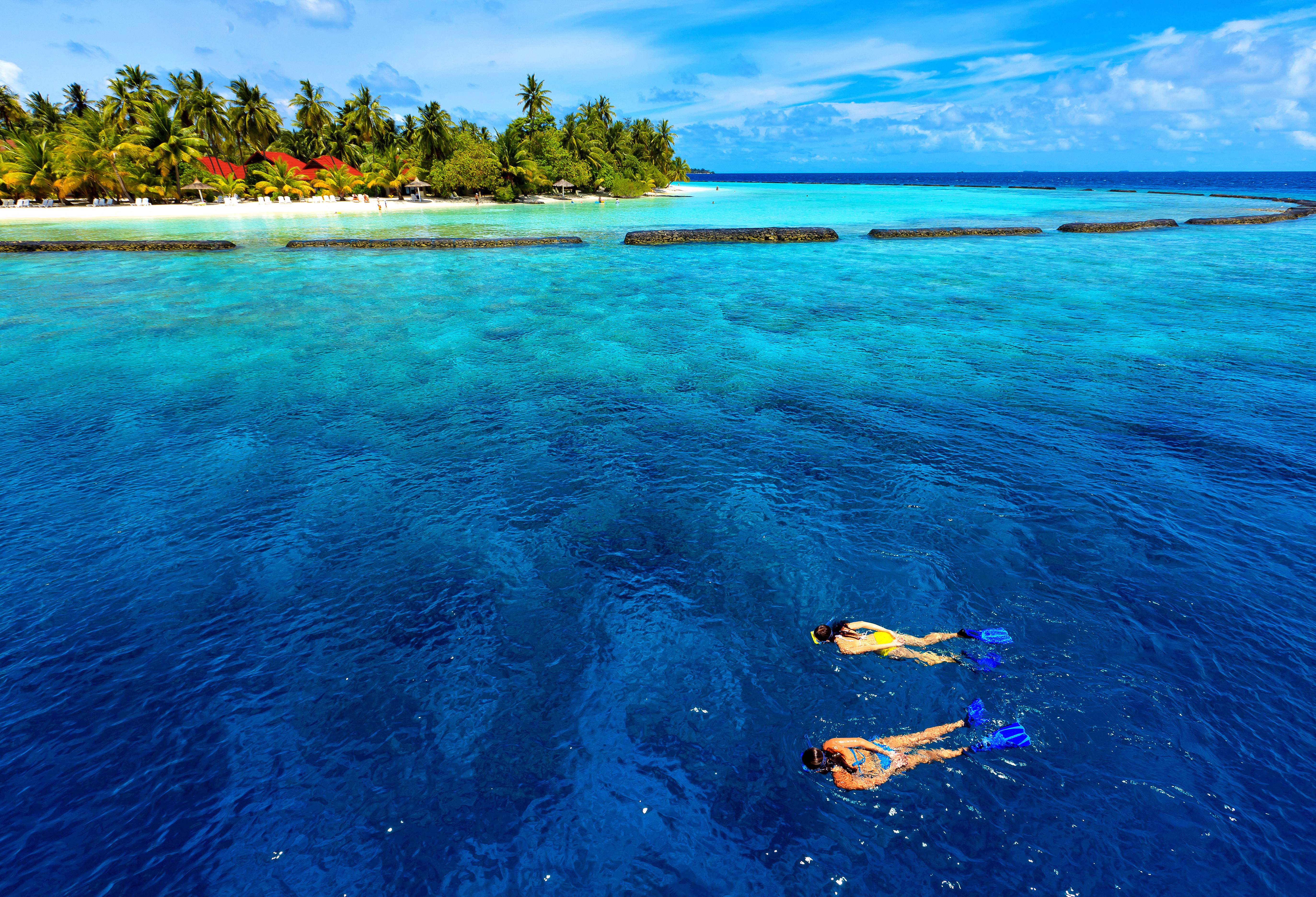 Wallpapers tropics diving maldives on the desktop