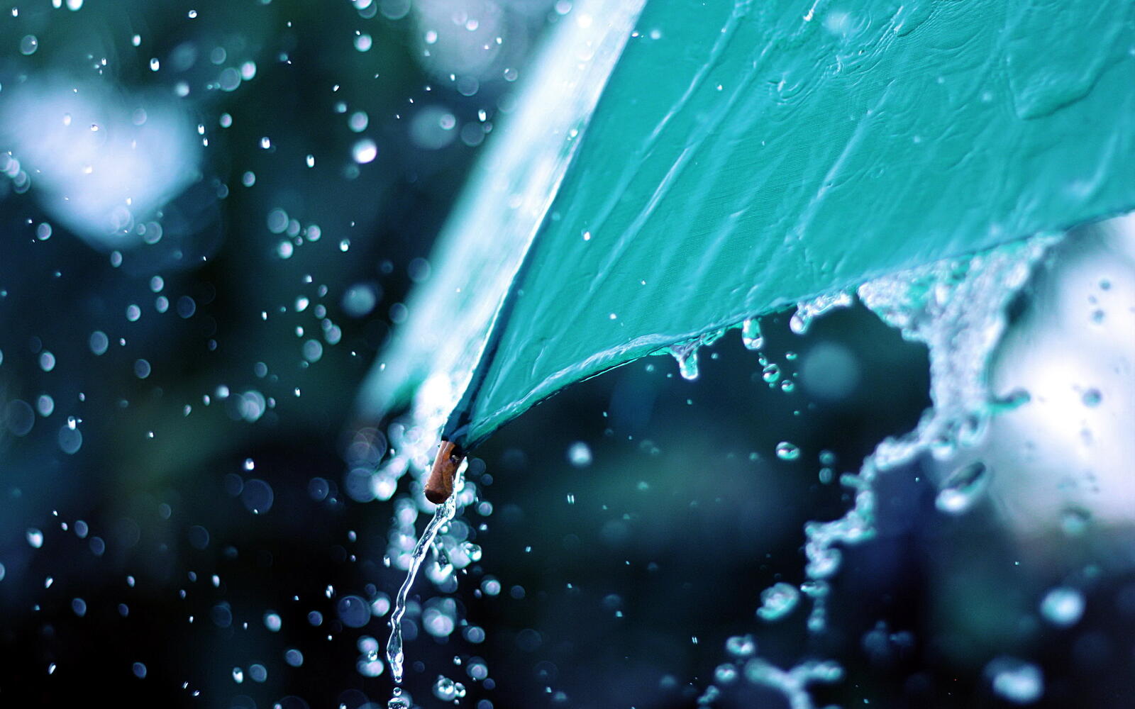 桌面上的壁纸伞 绿化 雨水