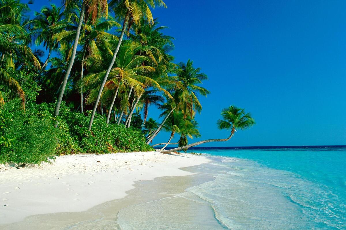 Пляж с белым песком на необитаемом острове