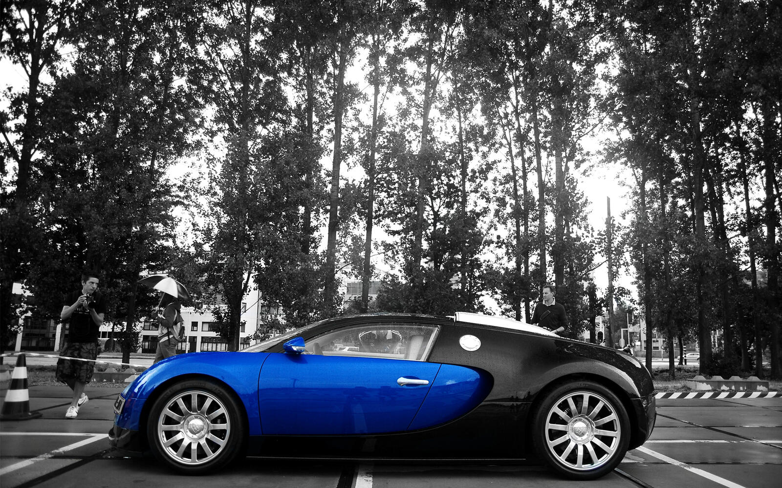 Wallpapers bugatti veyron black and blue on the desktop