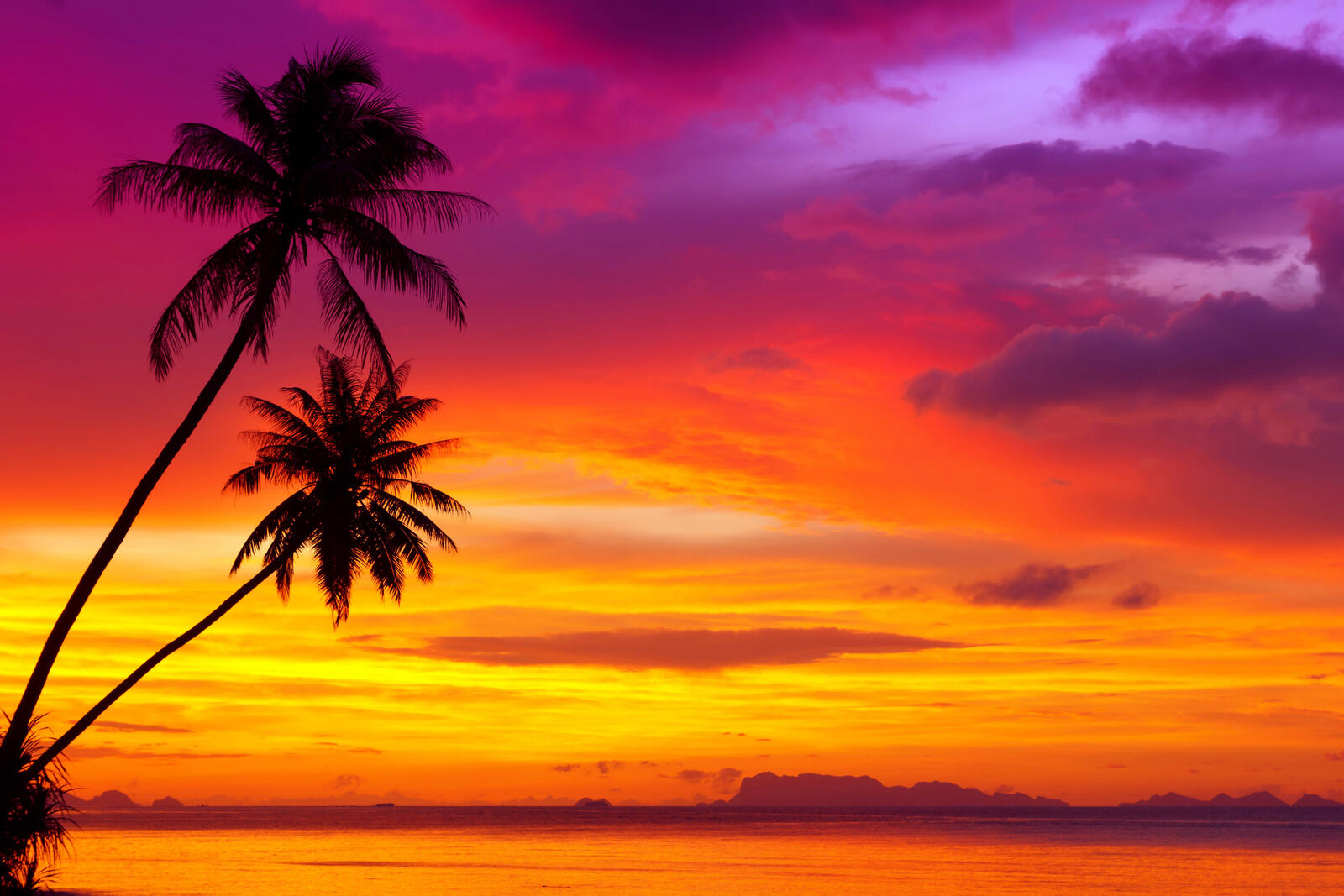 Wallpapers sunset landscapes palm trees on the desktop