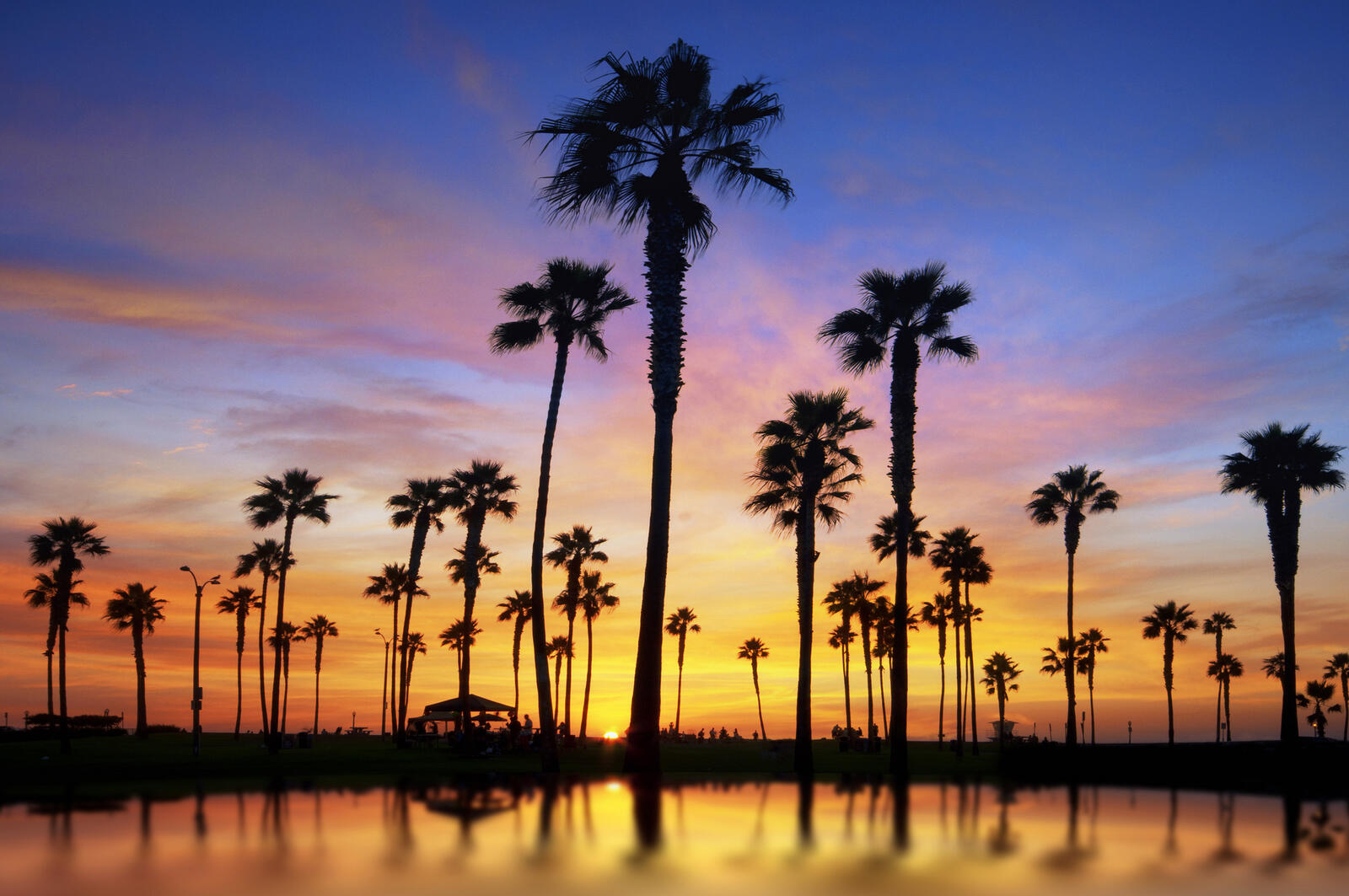Wallpapers water palms trees on the desktop
