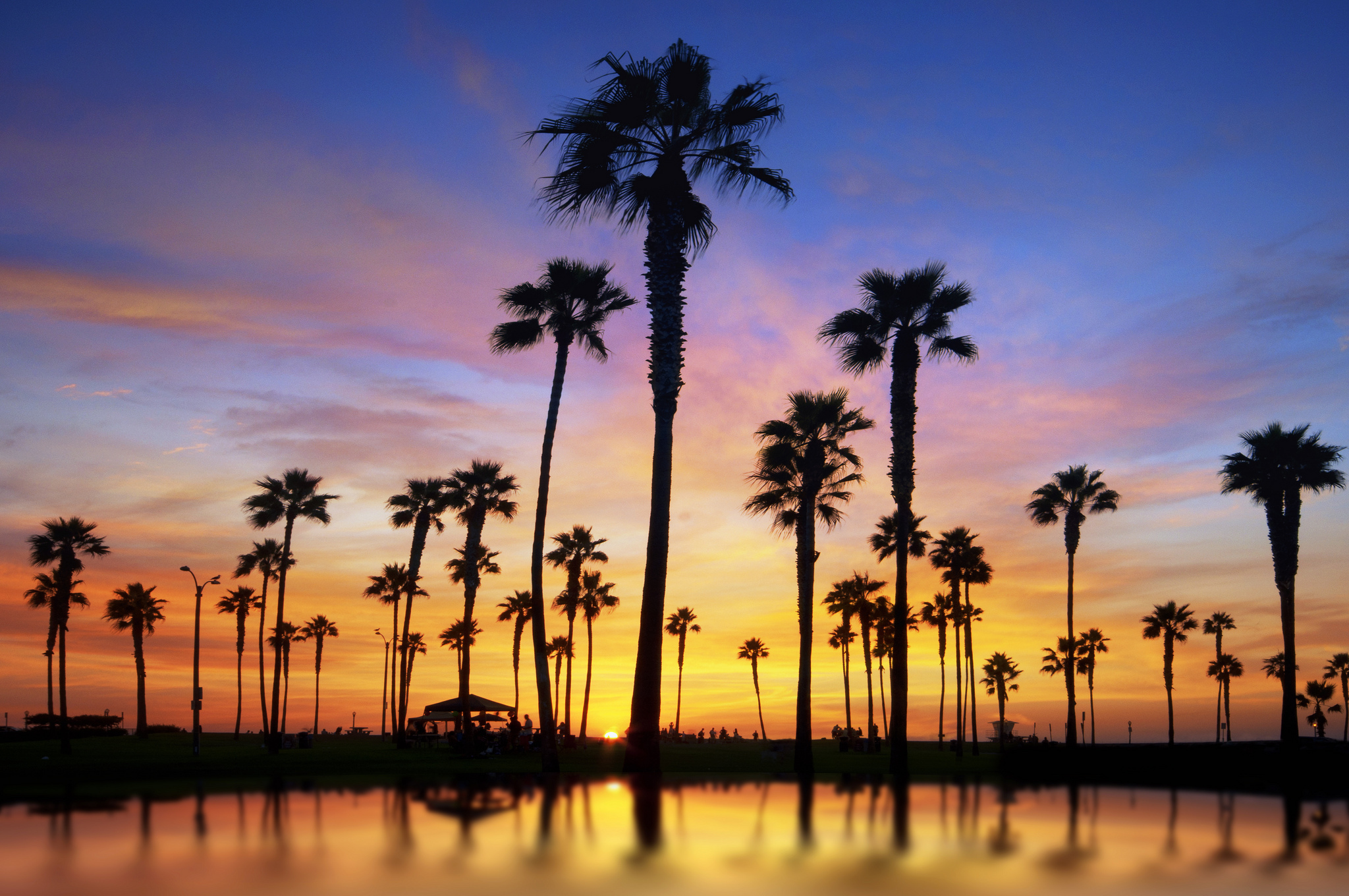 Wallpapers water palms trees on the desktop