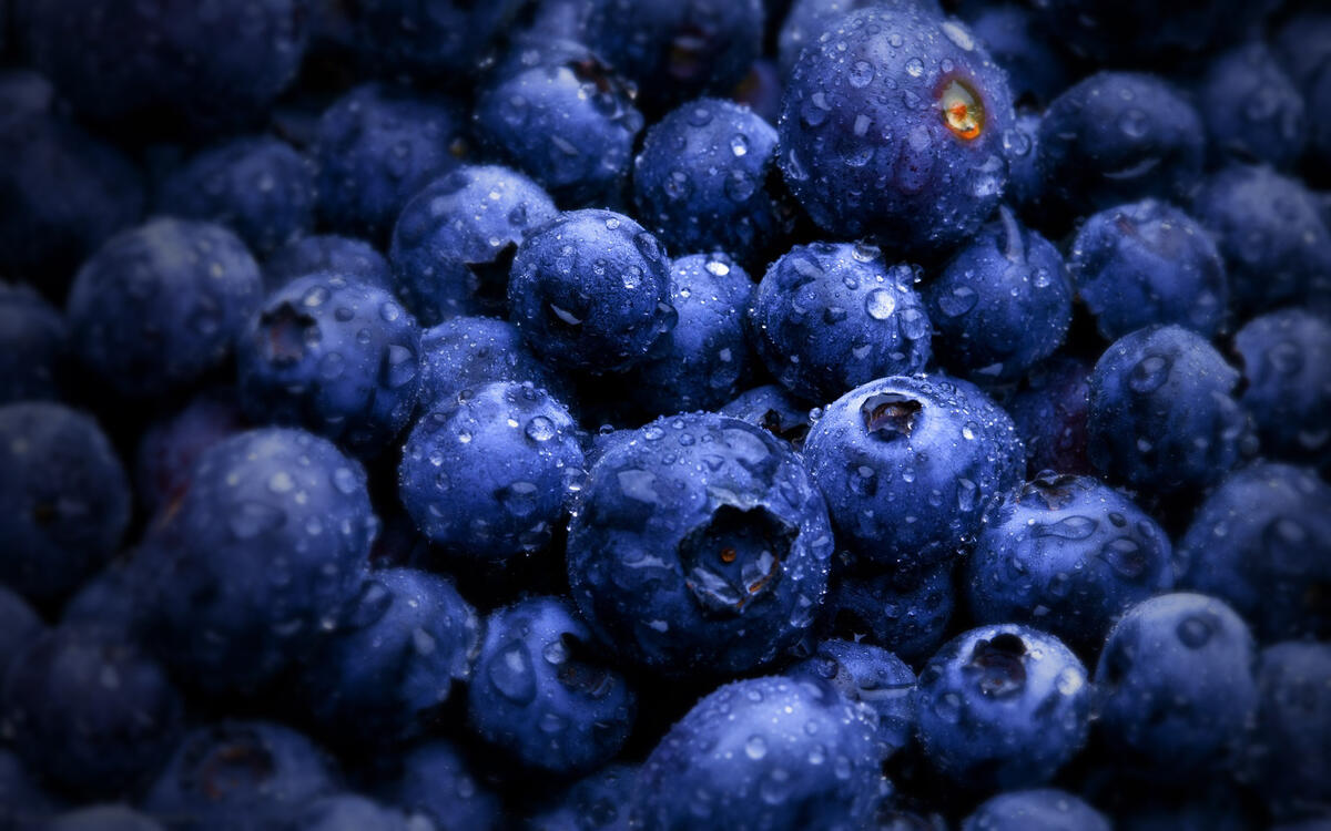 Blueberries with drops of water