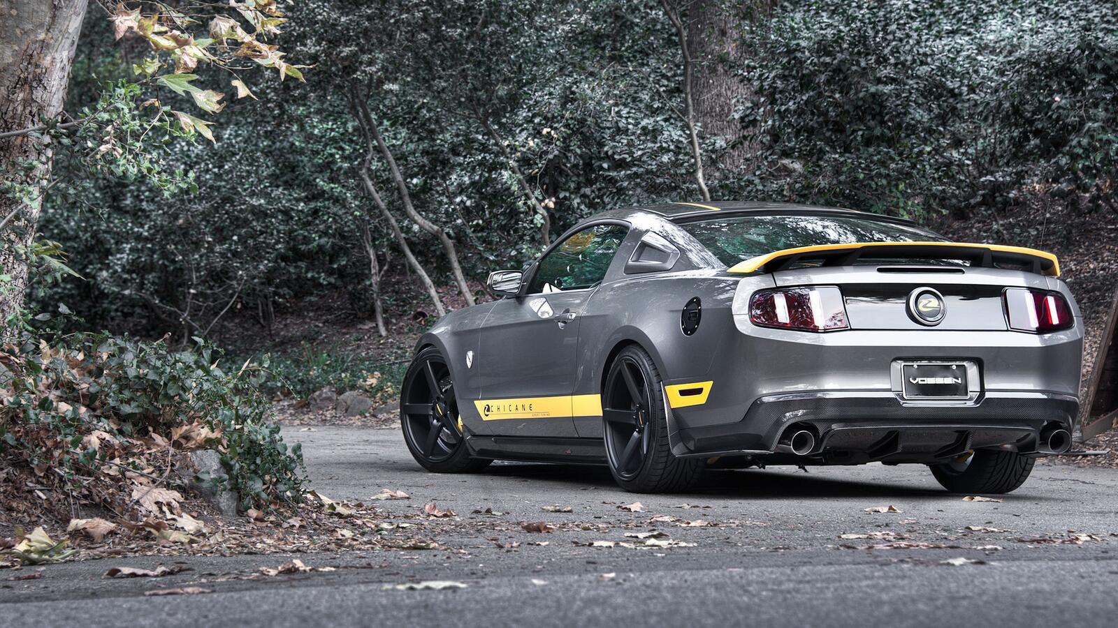 Wallpapers Ford Mustang Rear on the desktop