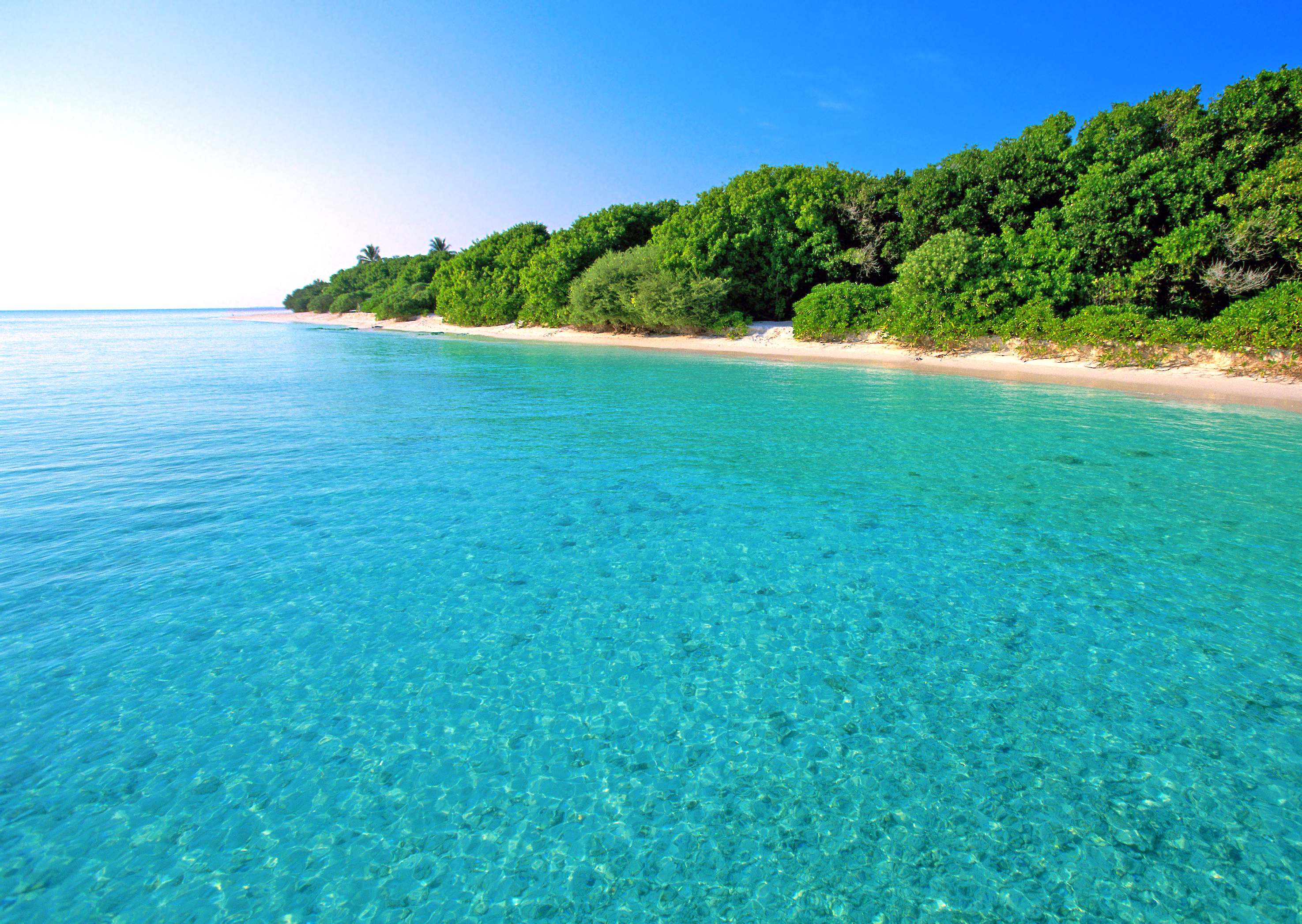 Фото синяя вода лето пляж - бесплатные картинки на Fonwall