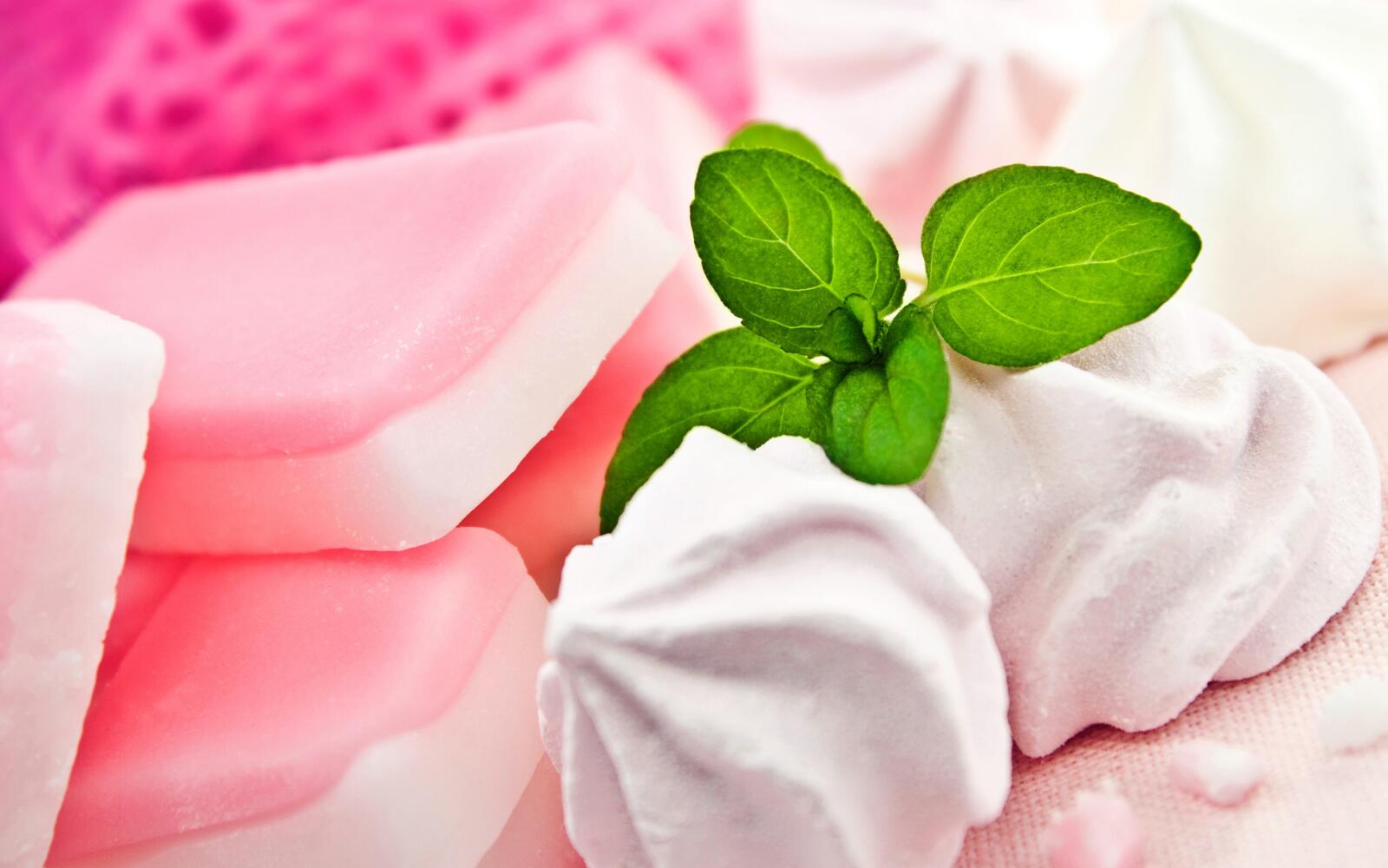 Wallpapers marshmallow mint sweets on the desktop