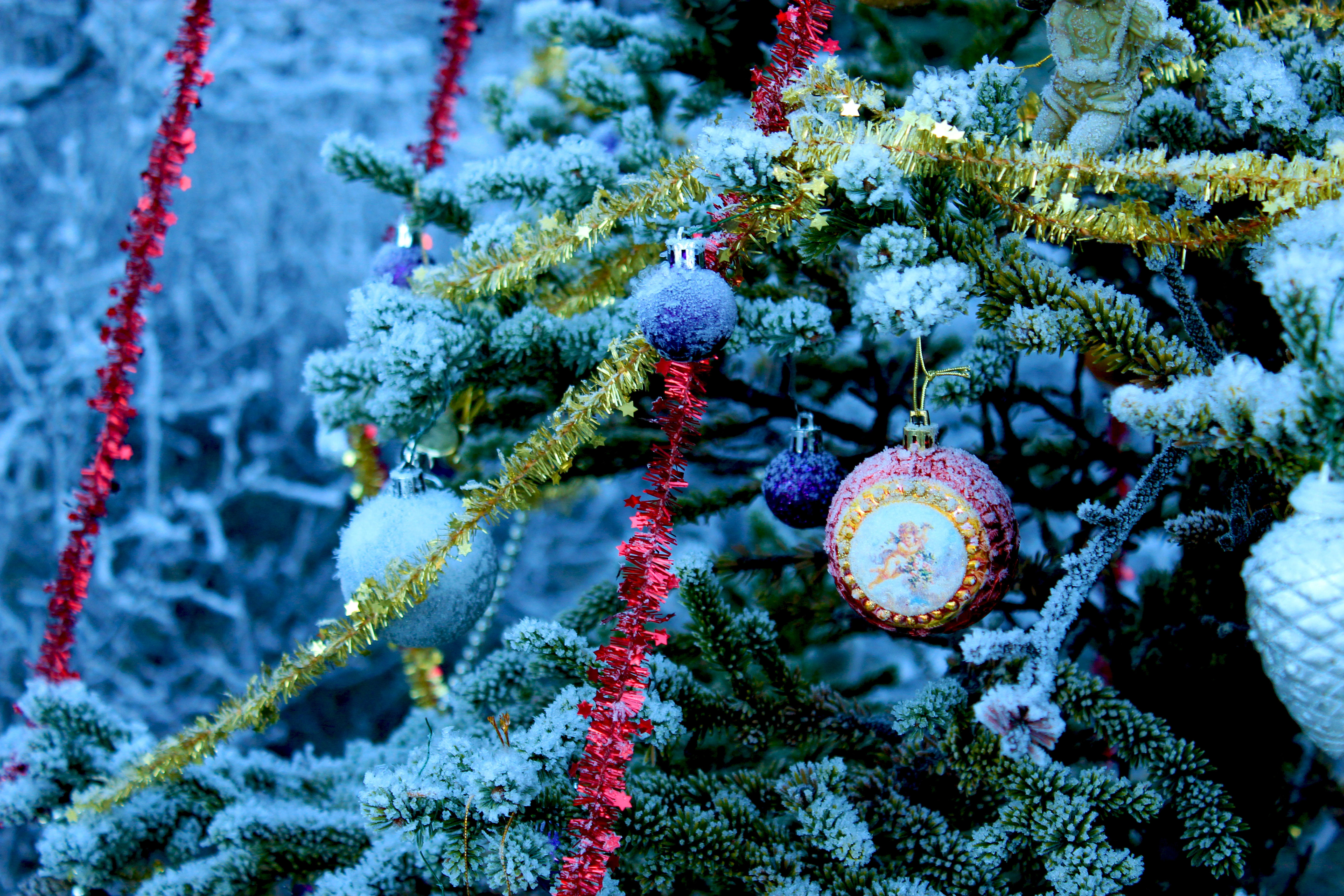 Wallpapers decorations happy new year Christmas tree on the desktop