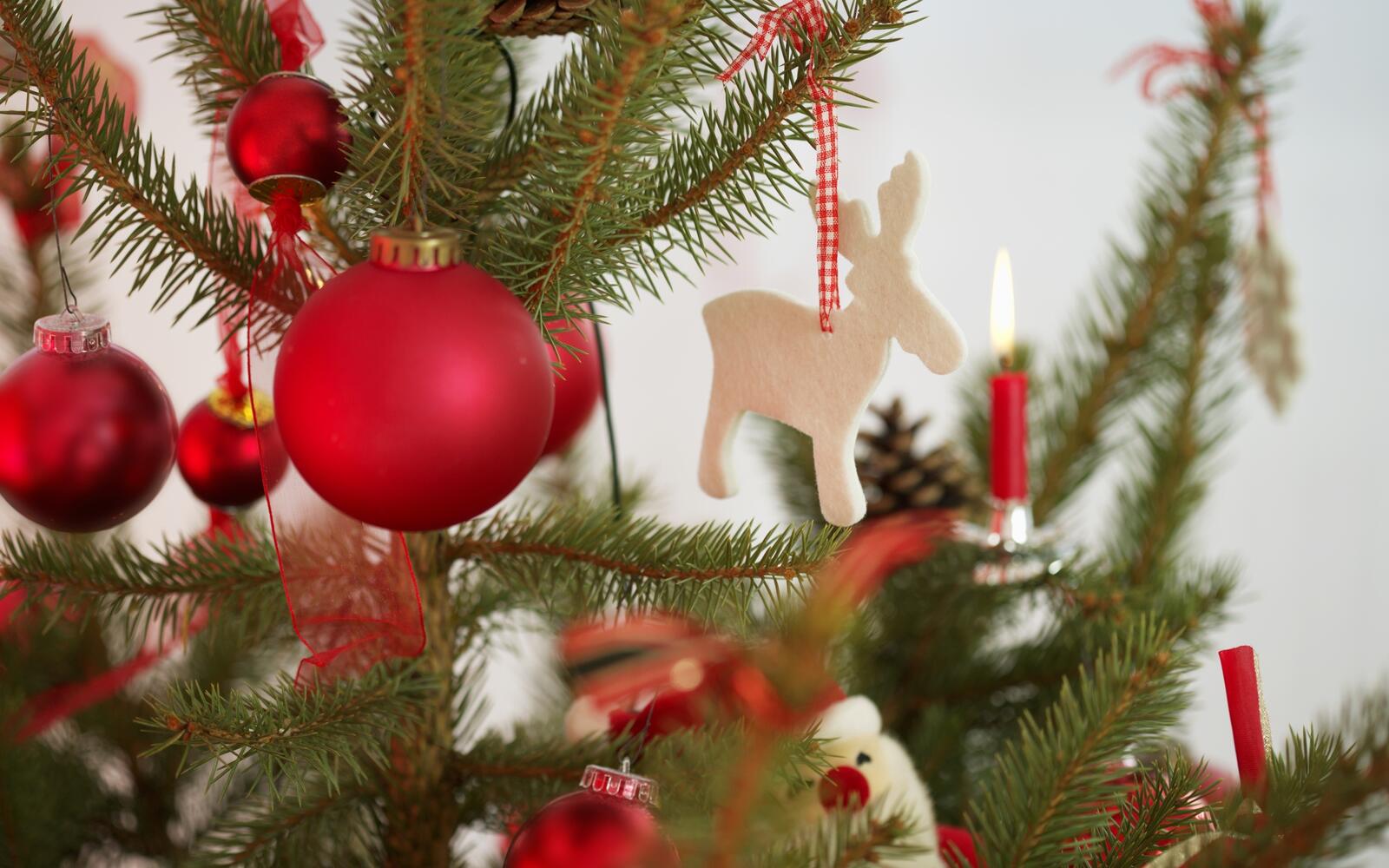 免费照片圣诞树枝上装饰着新年玩具