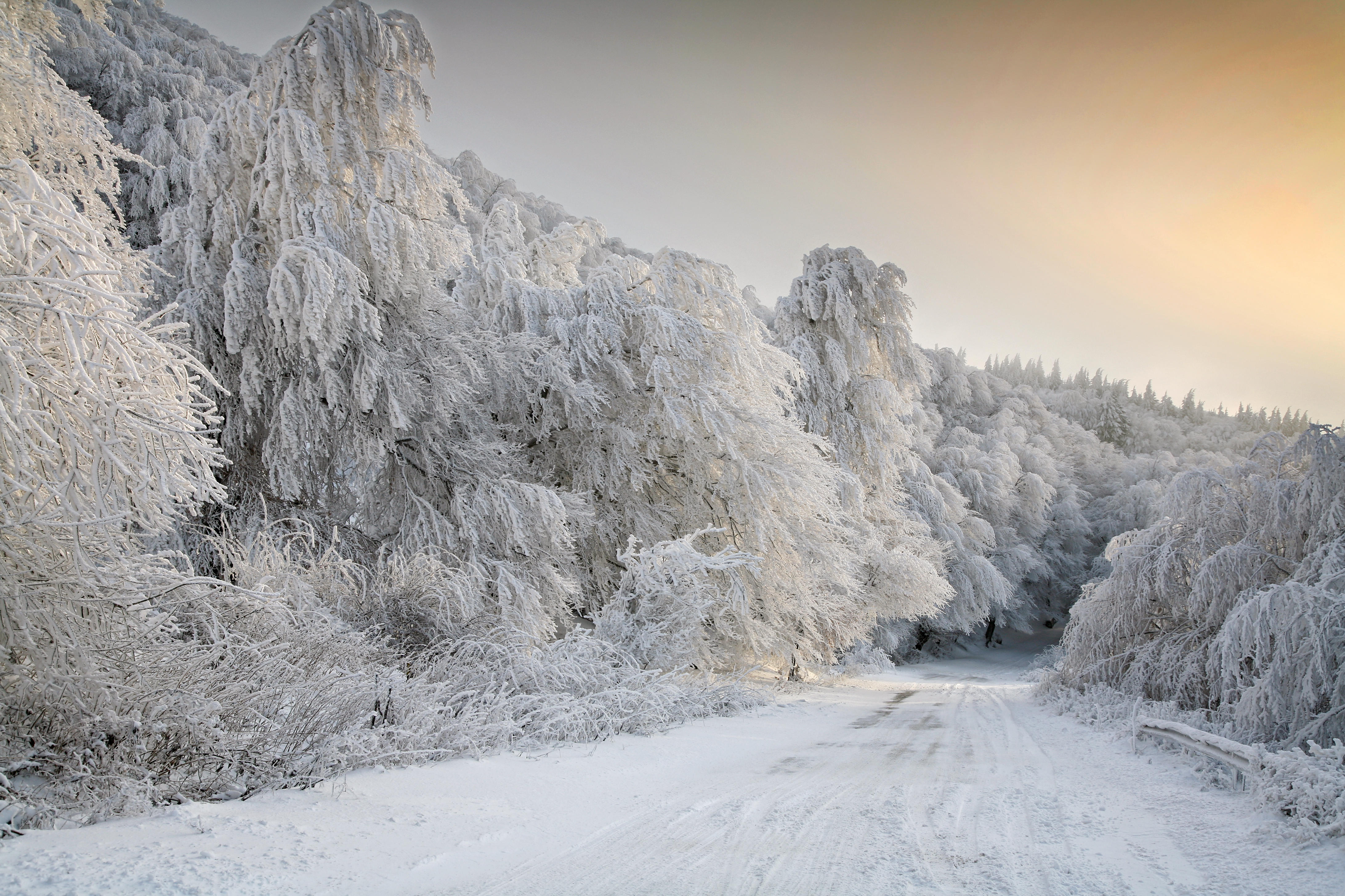 Photo free snowy road, road, winter road