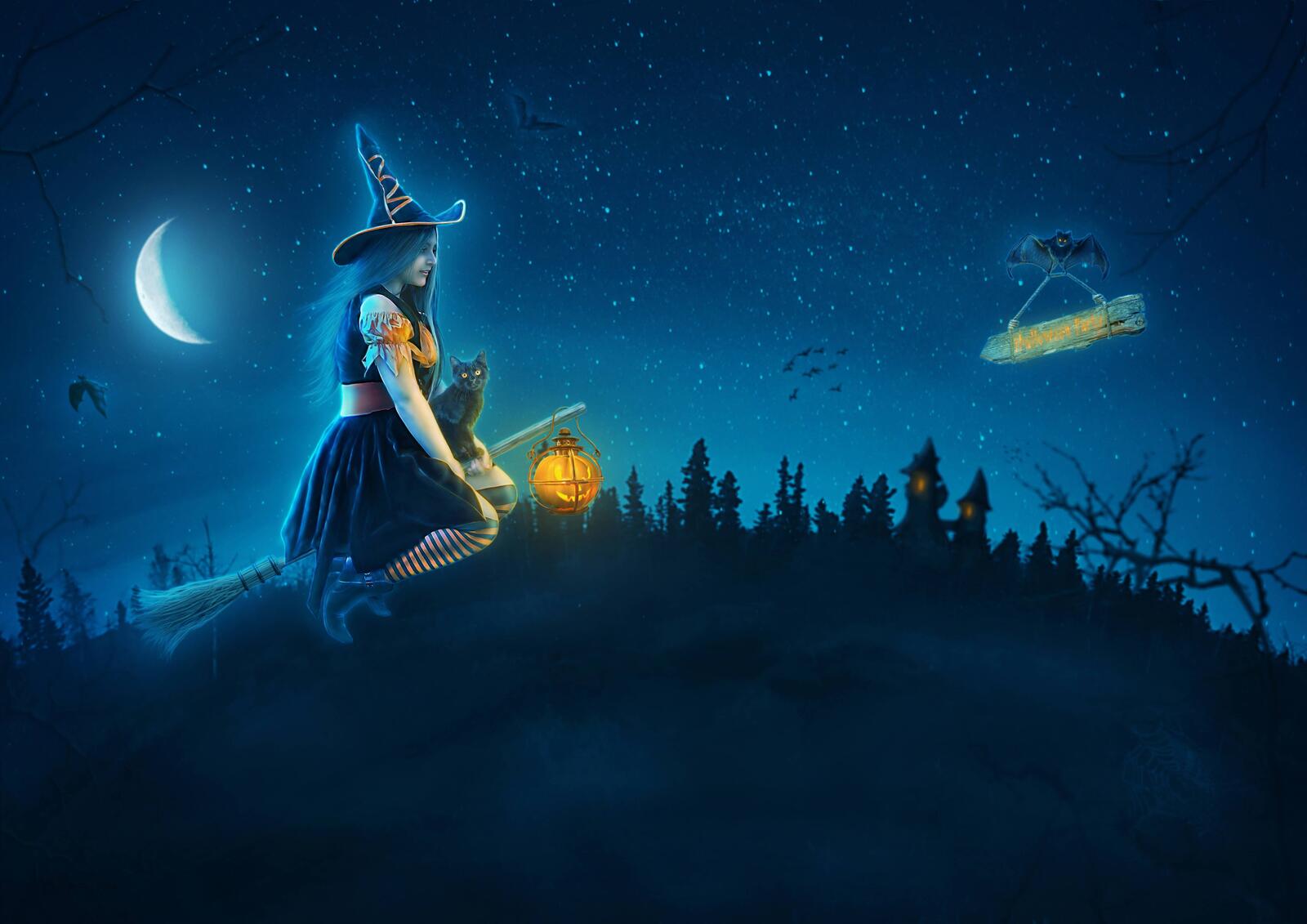 Wallpapers night moon witch on a broom on the desktop