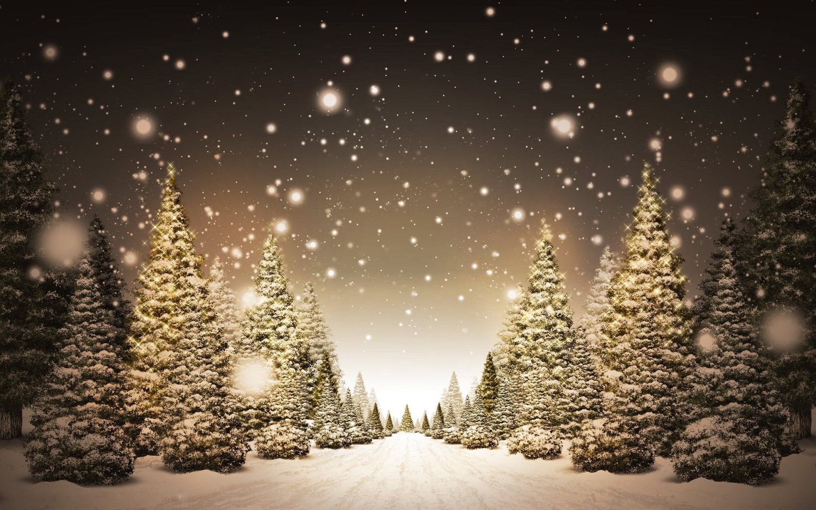Wallpapers Christmas tree snow path on the desktop