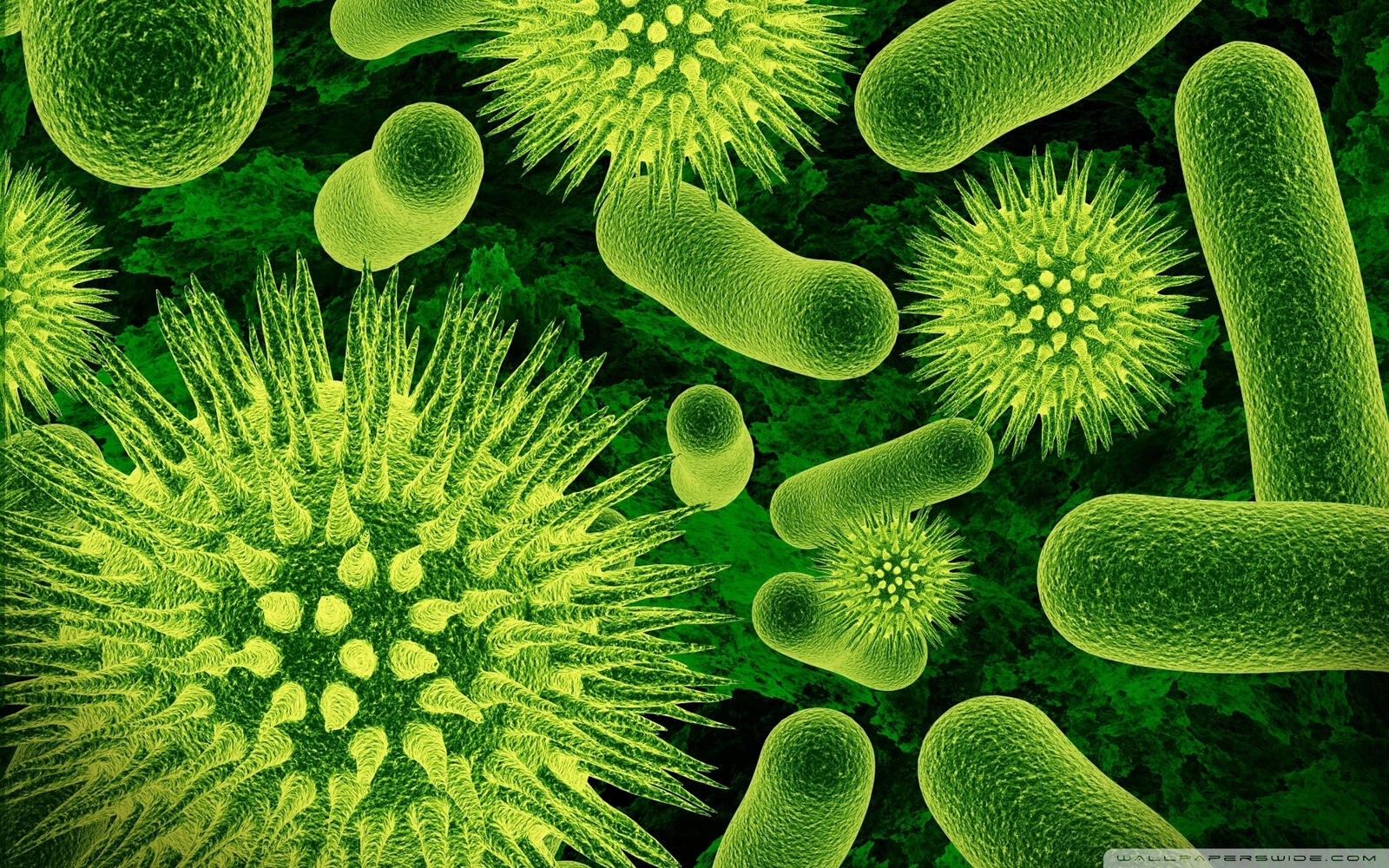 Wallpapers bacteria molecules sticks on the desktop