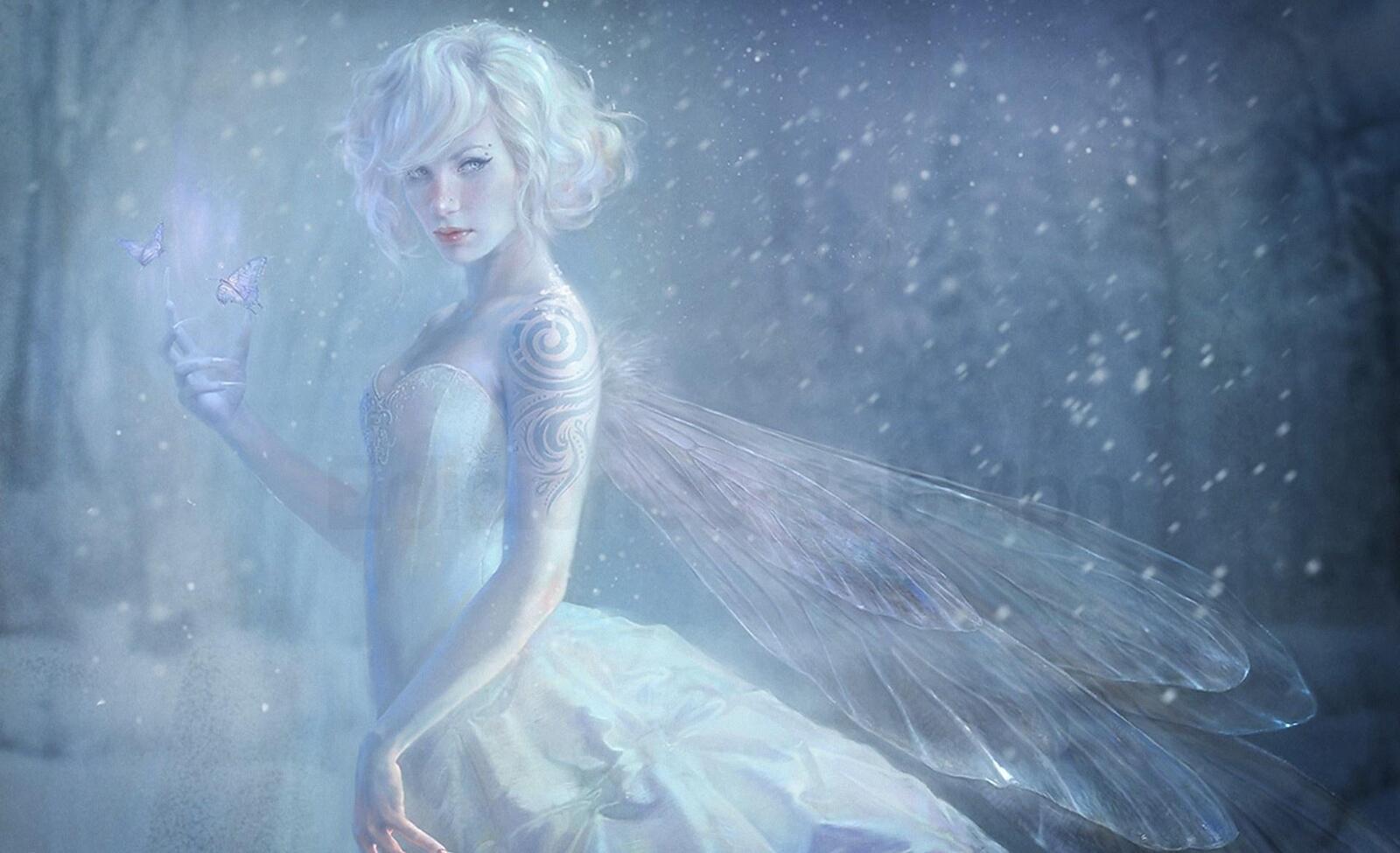 Wallpapers wings snow fairy on the desktop