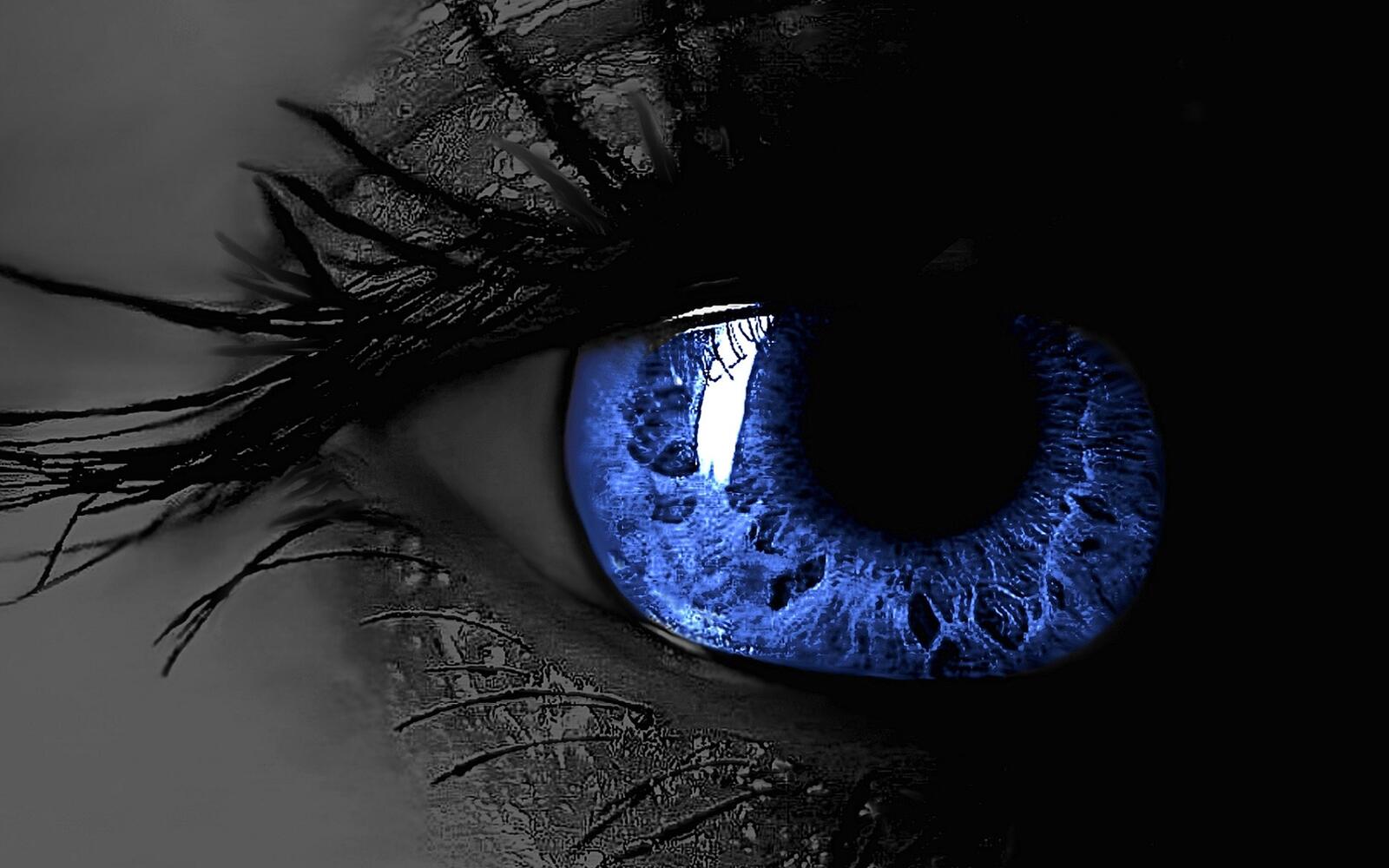 Обои синий женский глаз ресницы зрачок на рабочий стол