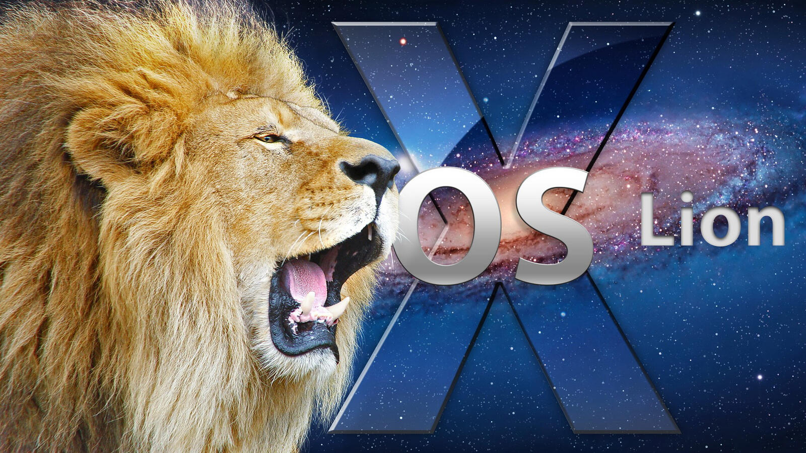 Wallpapers max os lion background on the desktop