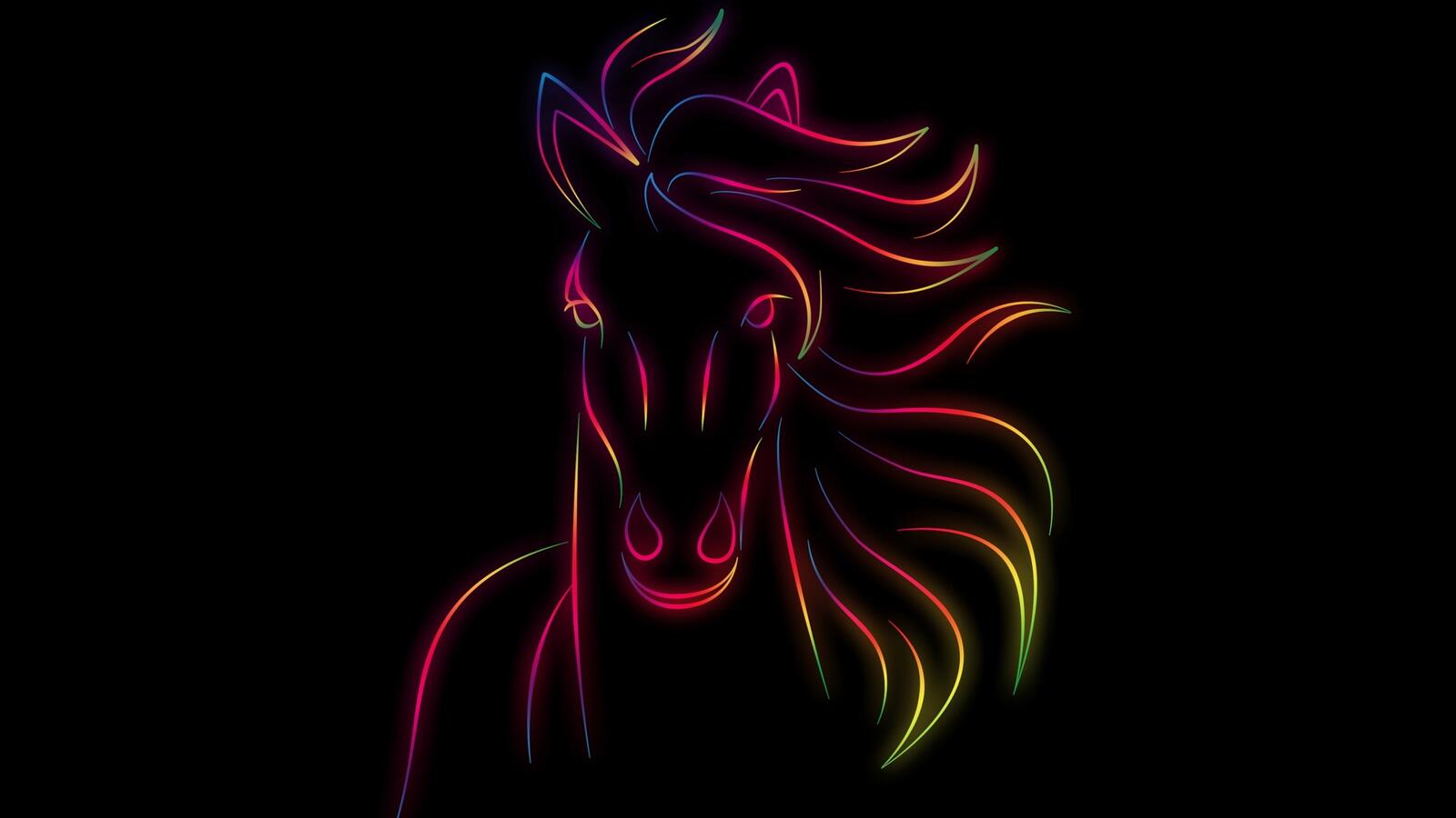 Wallpapers horse art drawing on the desktop