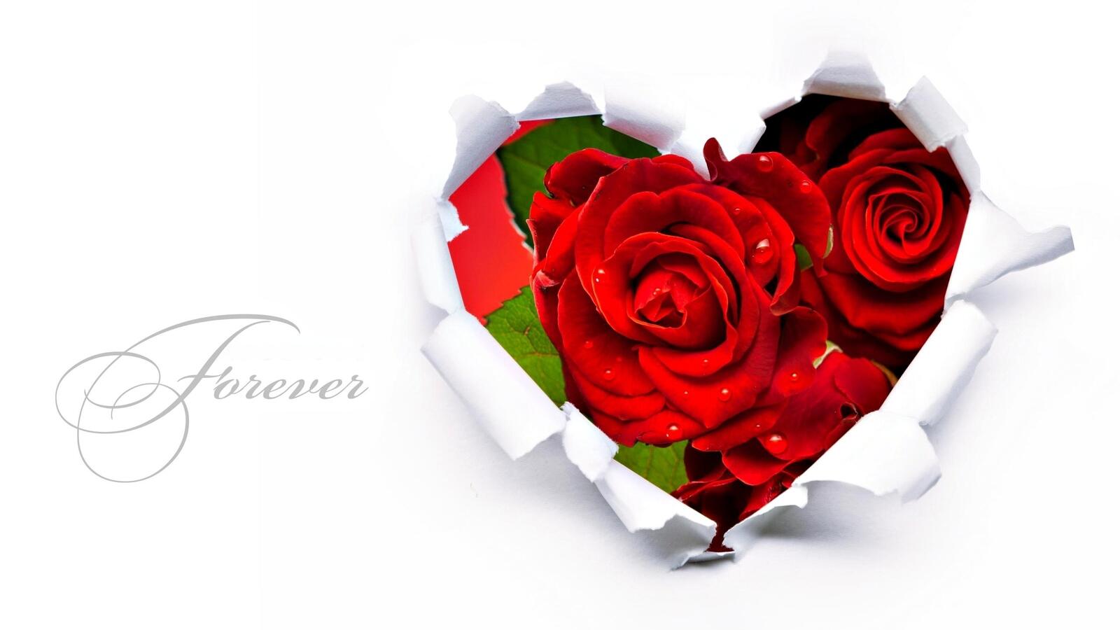 Wallpapers roses bouquet heart on the desktop