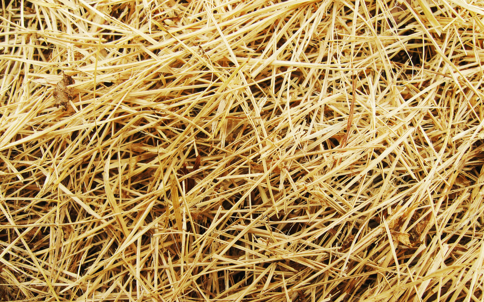 Wallpapers straw haystack hay on the desktop