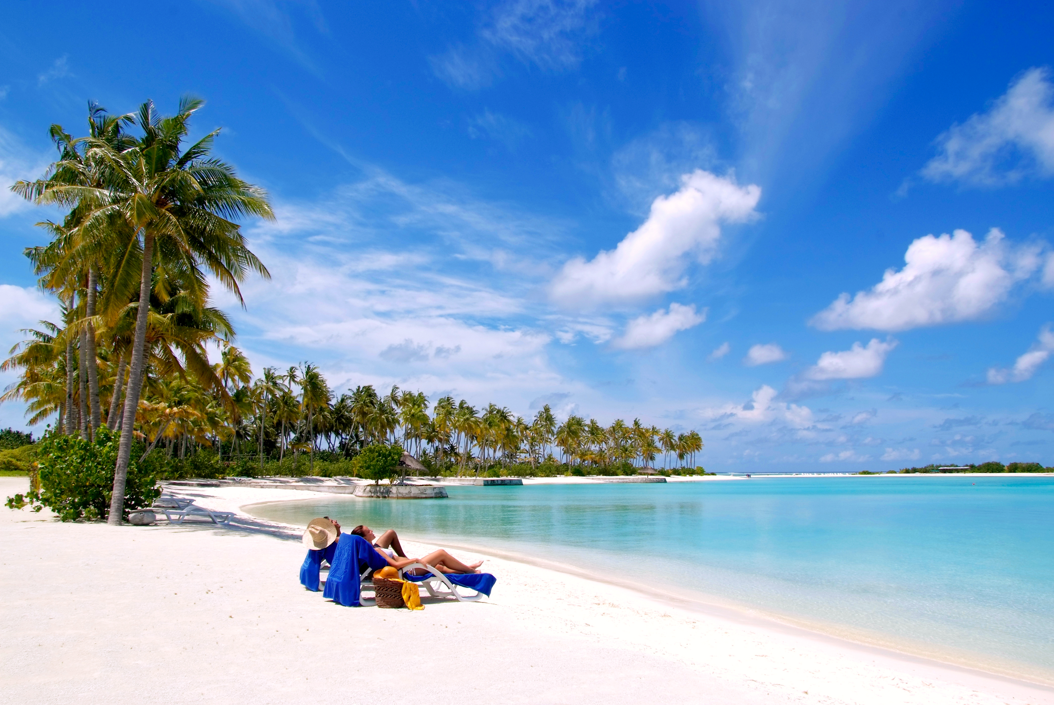Обои Мальдивы пальмовое дерево песчаный пляж на рабочий стол