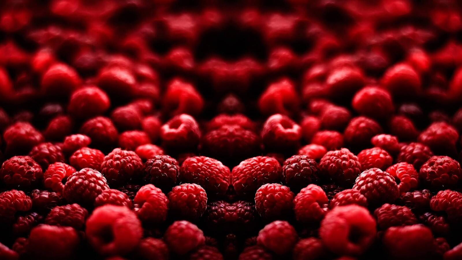 桌面上的壁纸成熟 红 莓果