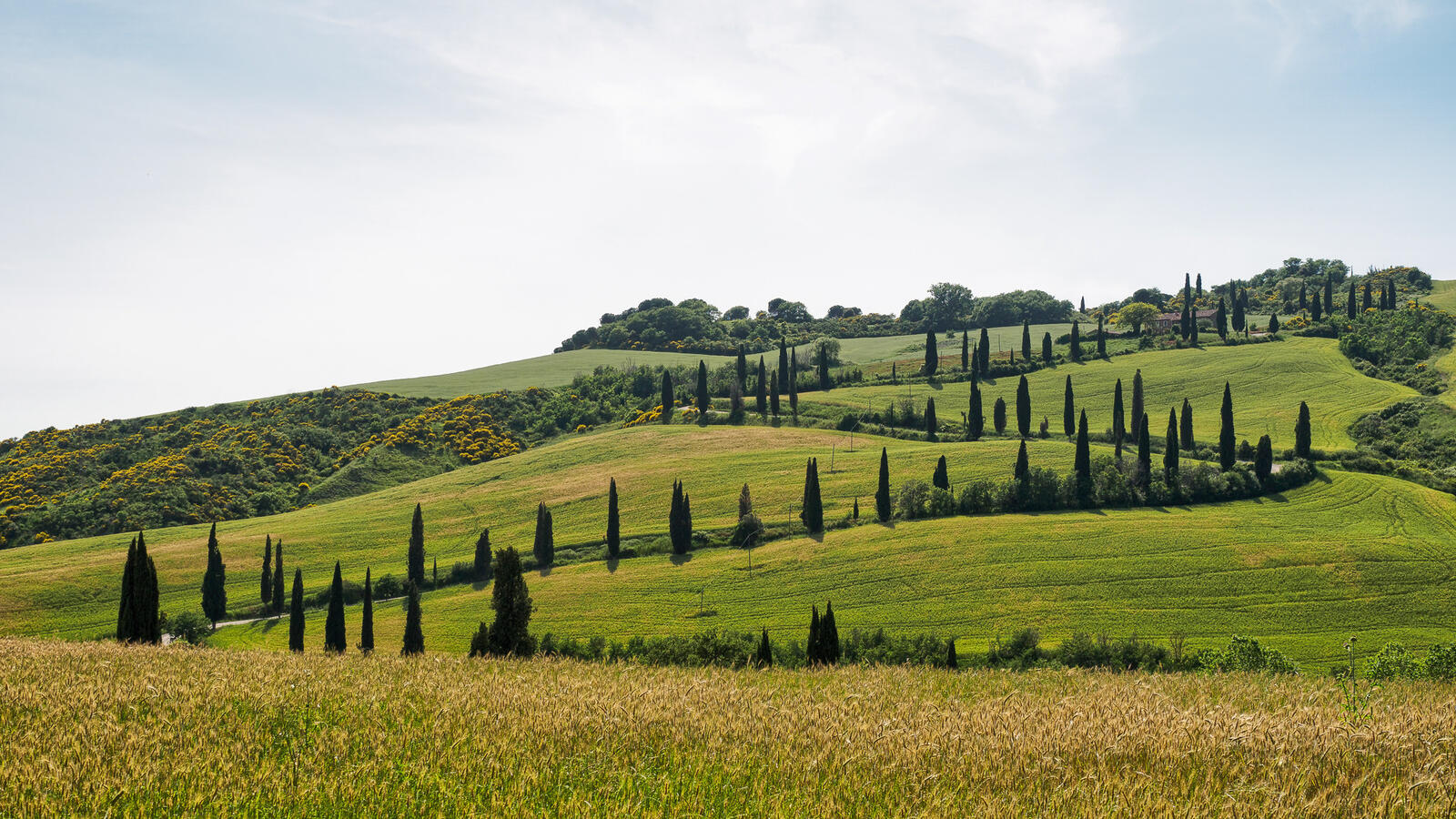 Wallpapers landscapes lawn Tuscany on the desktop