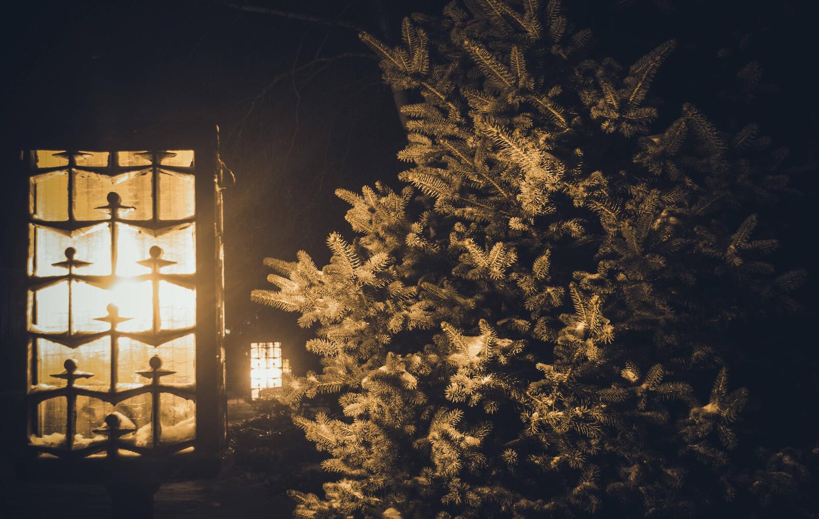 Обои елка окно снег на рабочий стол