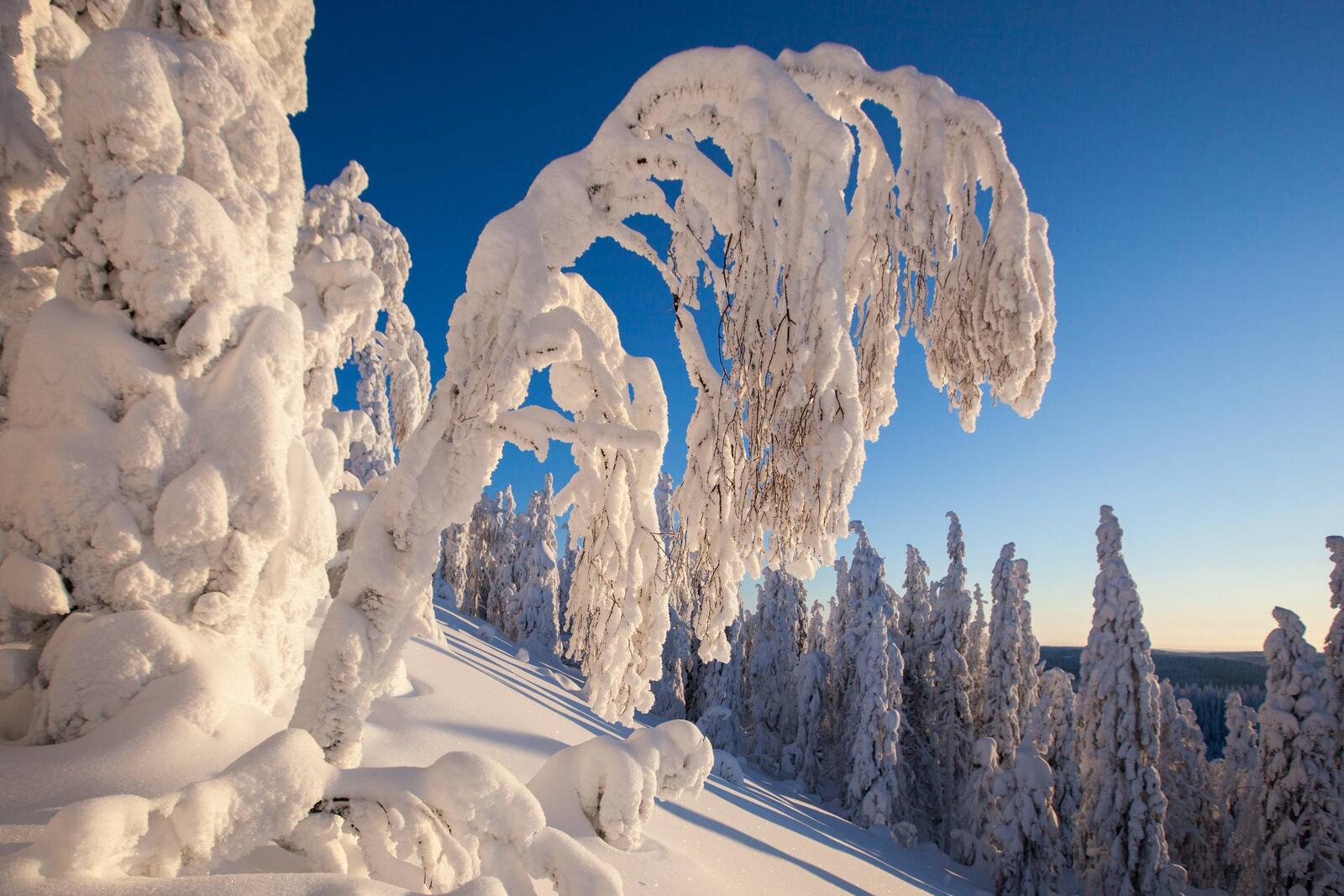 Обои Финляндия Лиекса зима на рабочий стол