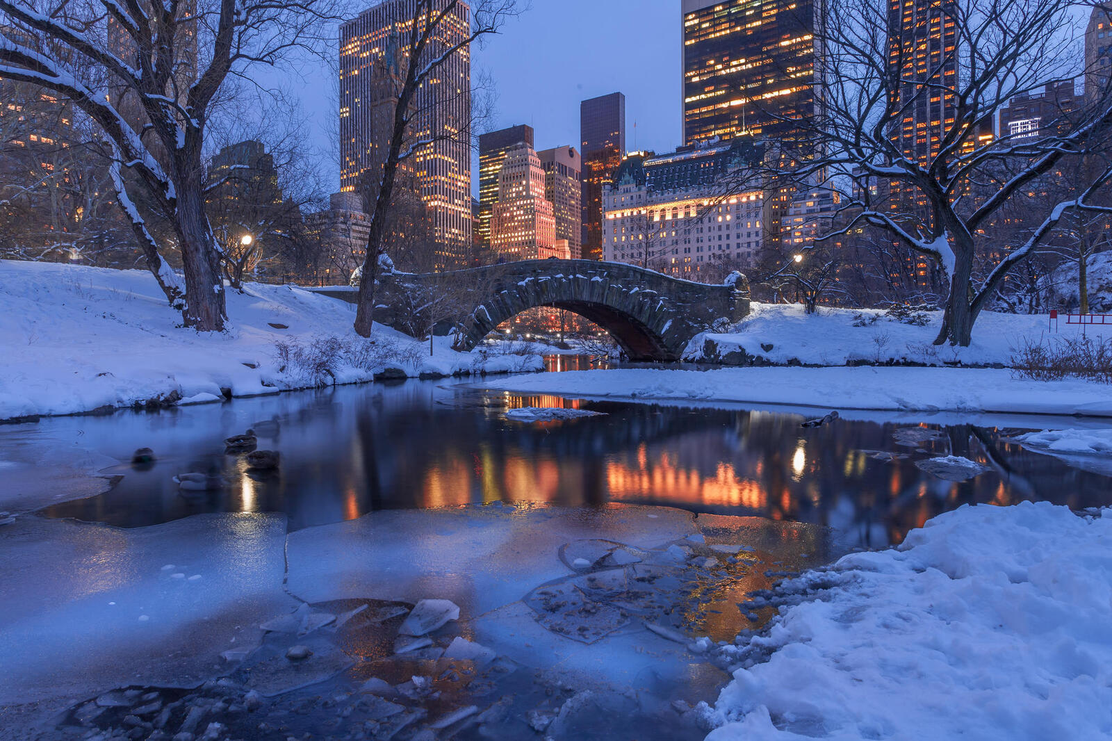 Бесплатное фото Красивая заставка мост гэпстоу, центральный парк нью-йорк вечер