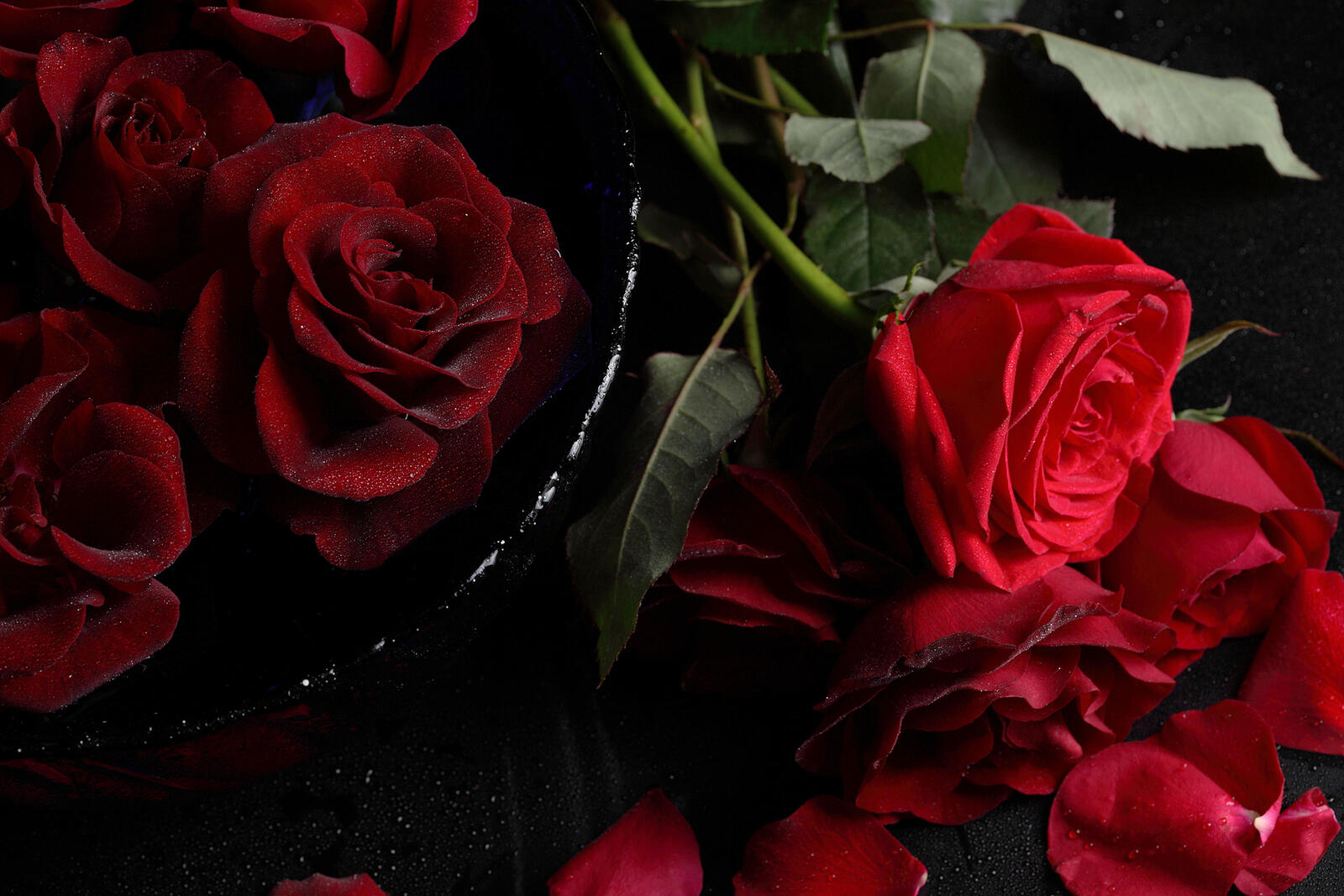 免费照片美丽的玫瑰花墙纸